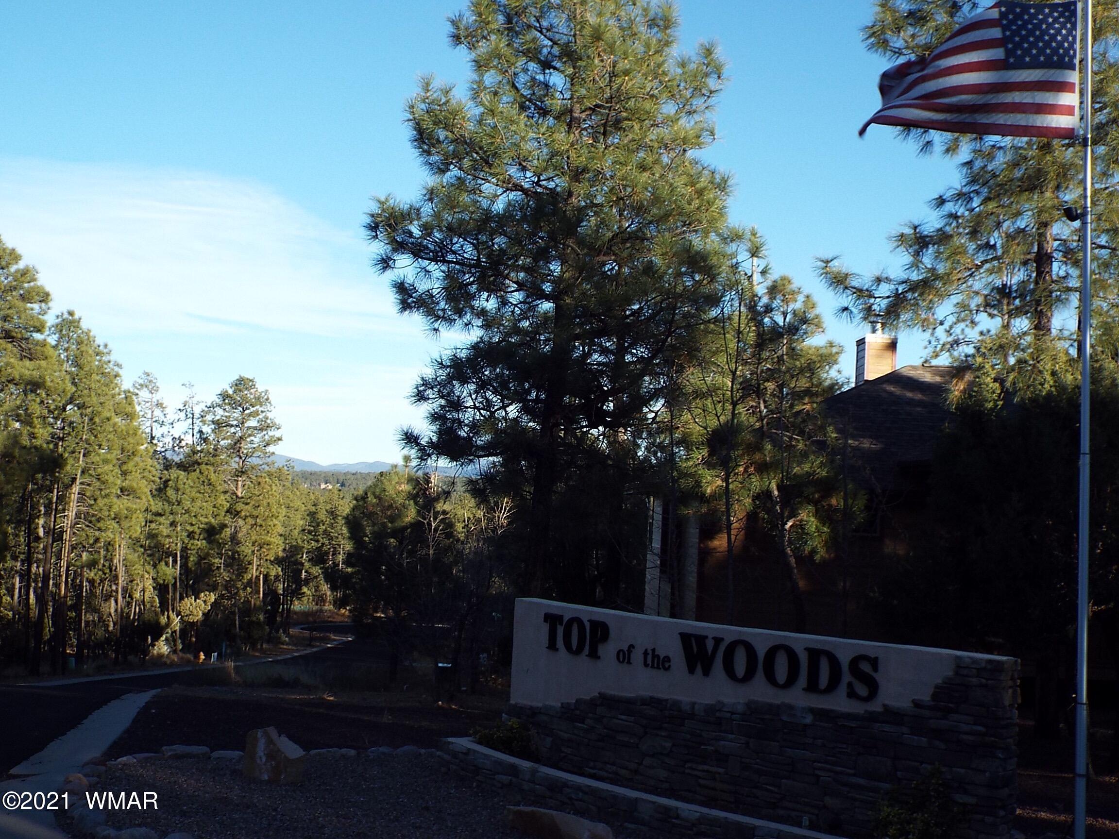 2329 Willow Way Pinetop, AZ 85935 - Photo 42 of 96