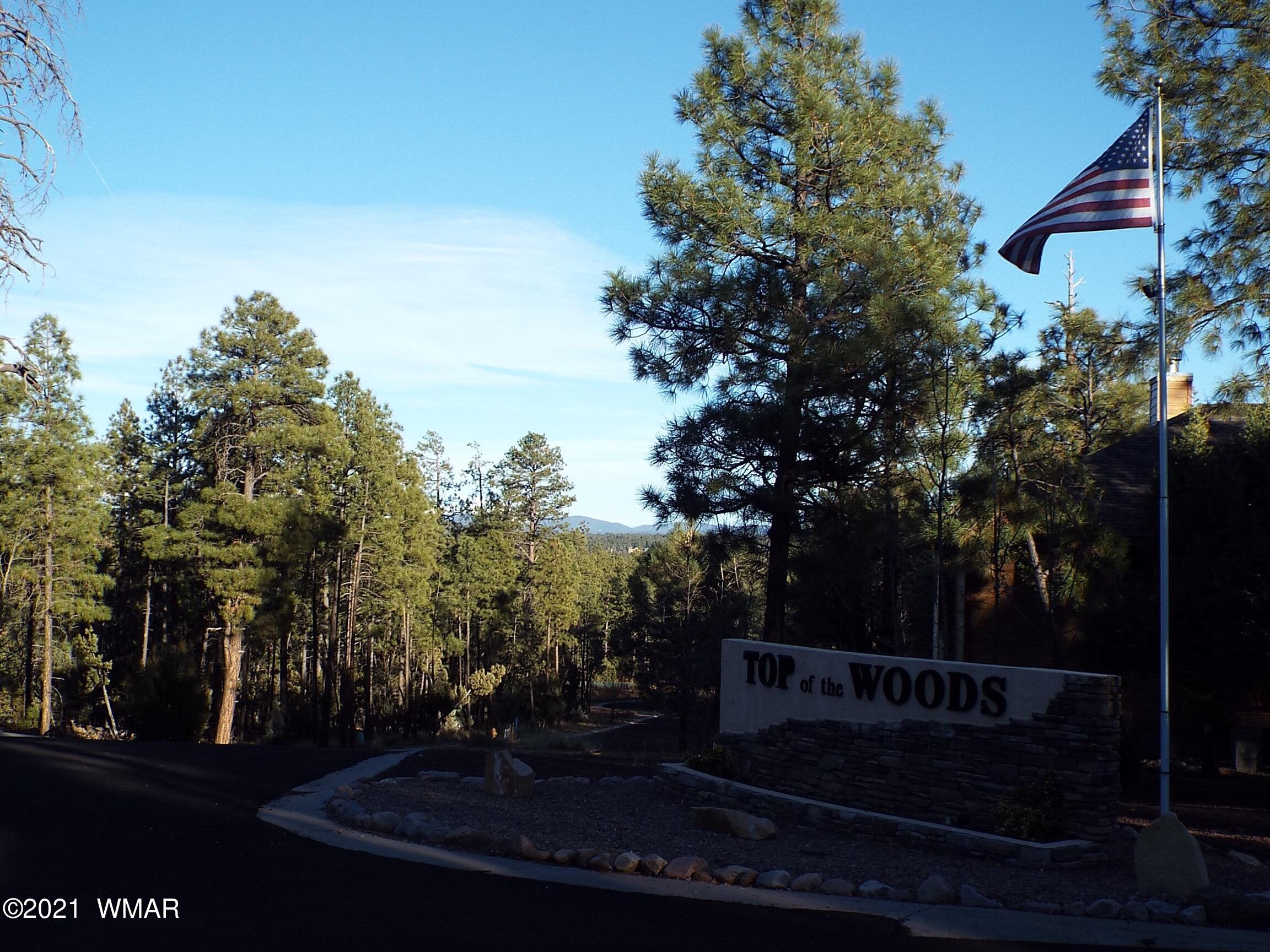 2329 Willow Way Pinetop, AZ 85935 - Photo 43 of 96