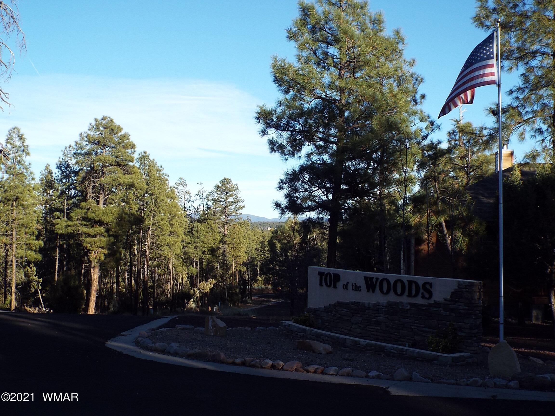 2329 Willow Way Pinetop, AZ 85935 - Photo 44 of 96