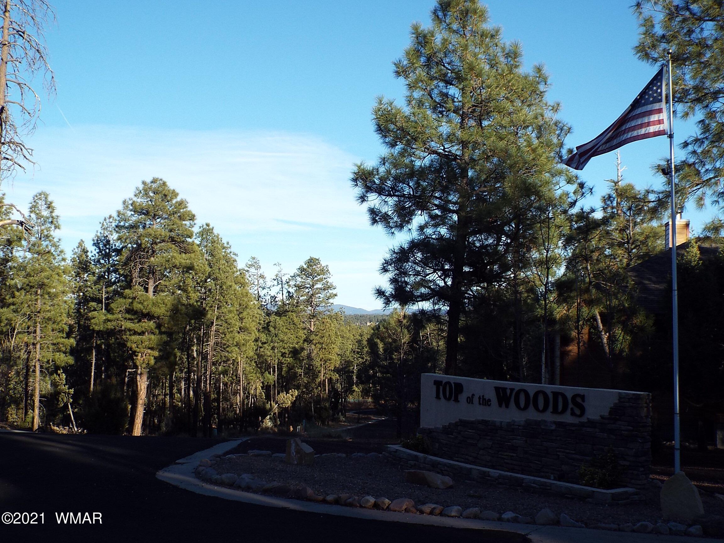 2329 Willow Way Pinetop, AZ 85935 - Photo 45 of 96