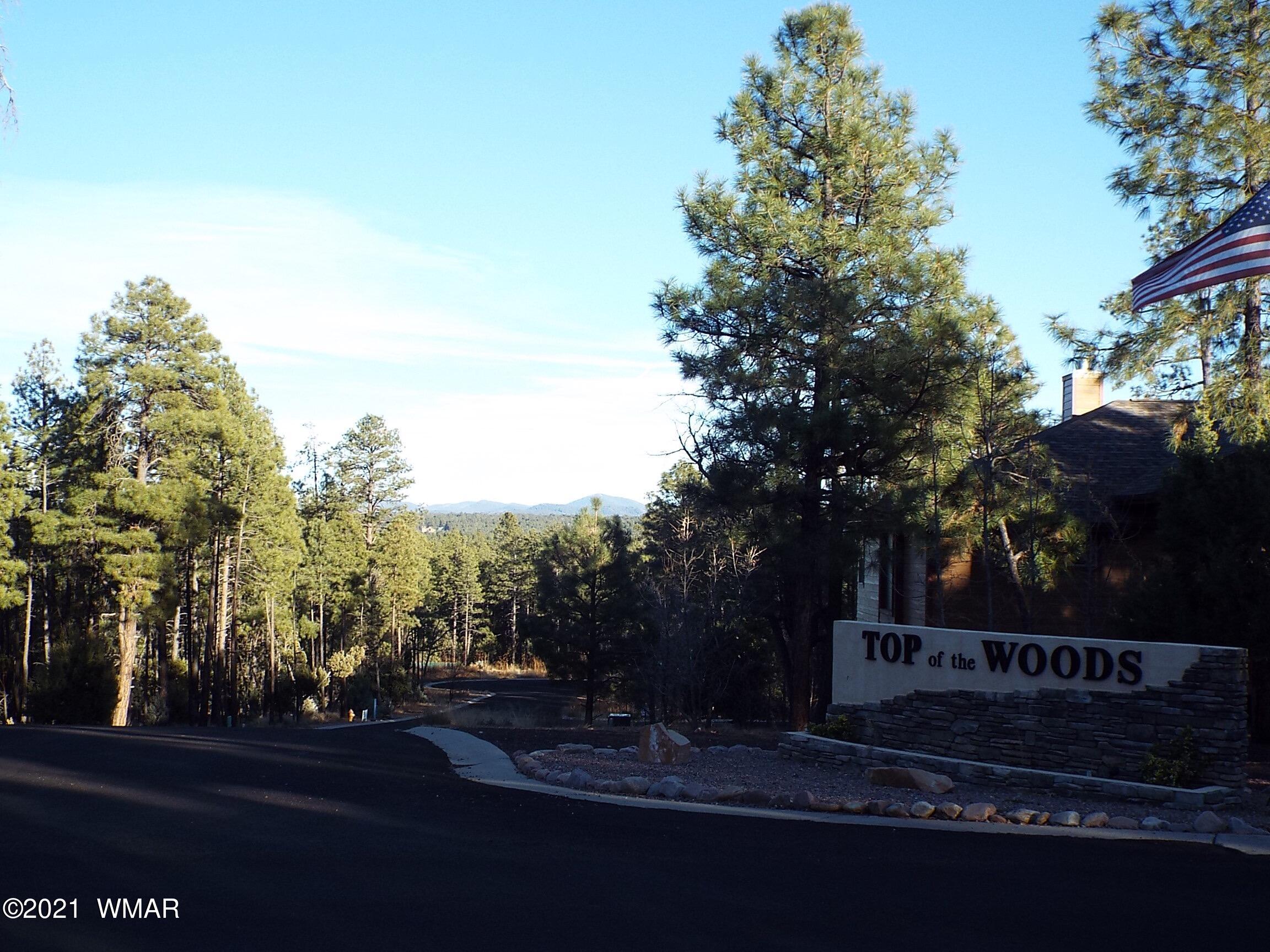 2329 Willow Way Pinetop, AZ 85935 - Photo 46 of 96