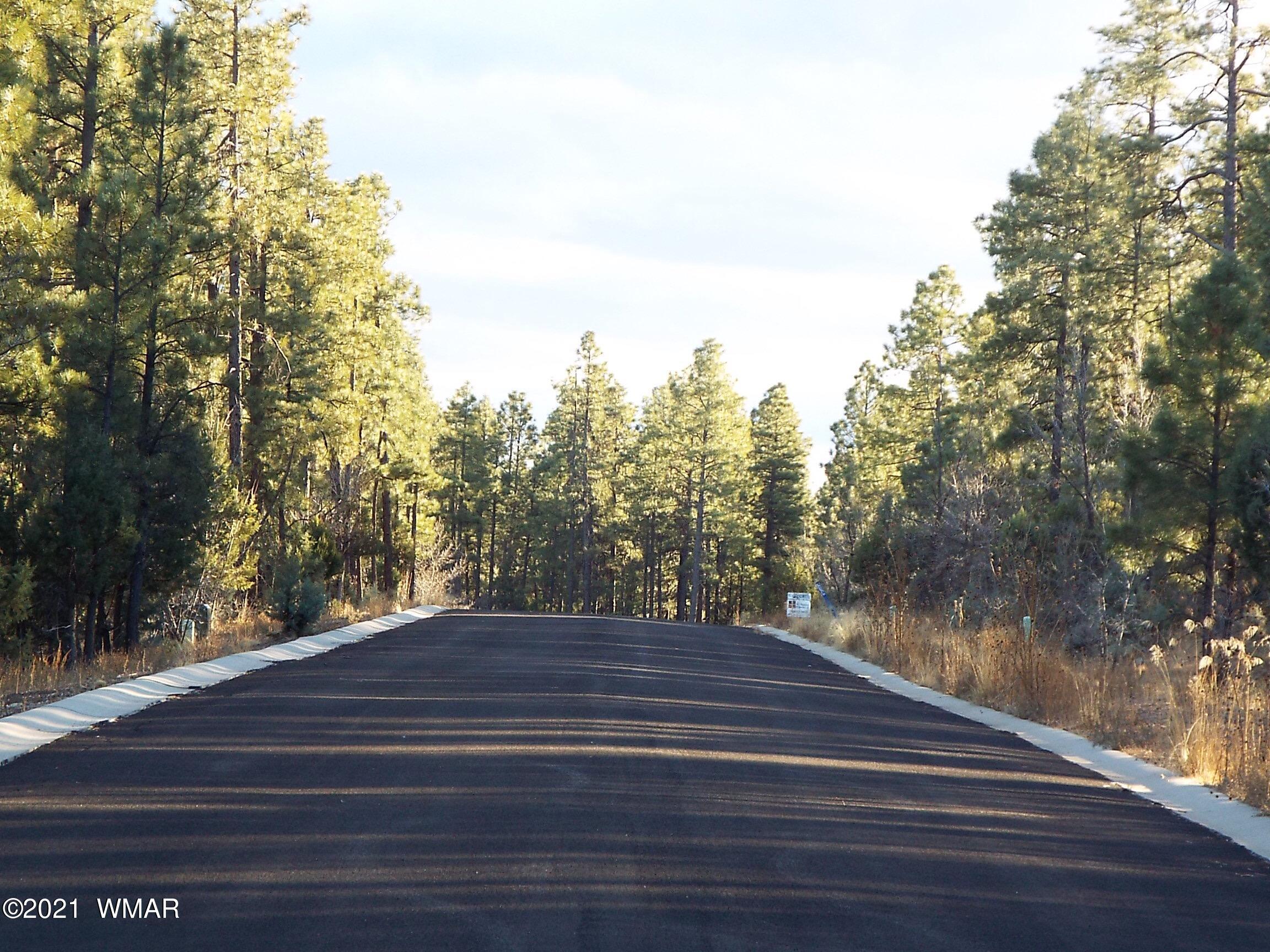 2329 Willow Way Pinetop, AZ 85935 - Photo 48 of 96