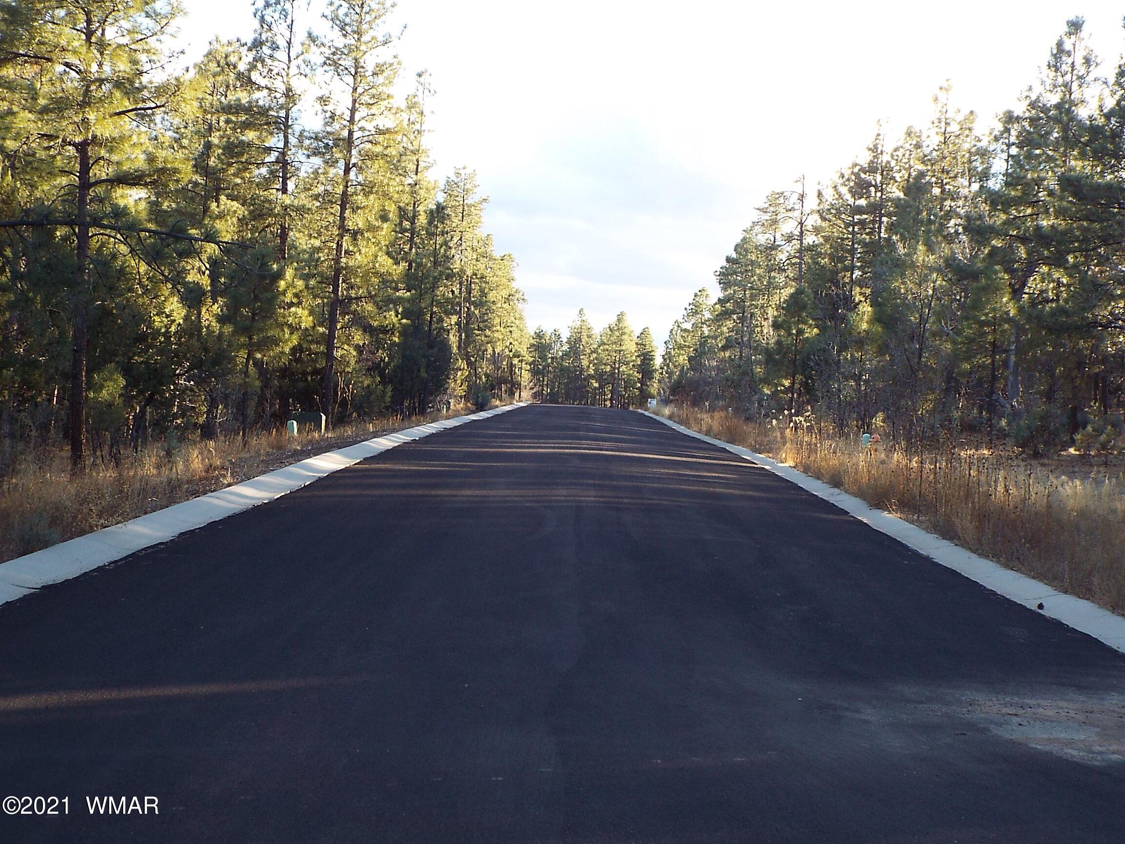 2329 Willow Way Pinetop, AZ 85935 - Photo 49 of 96