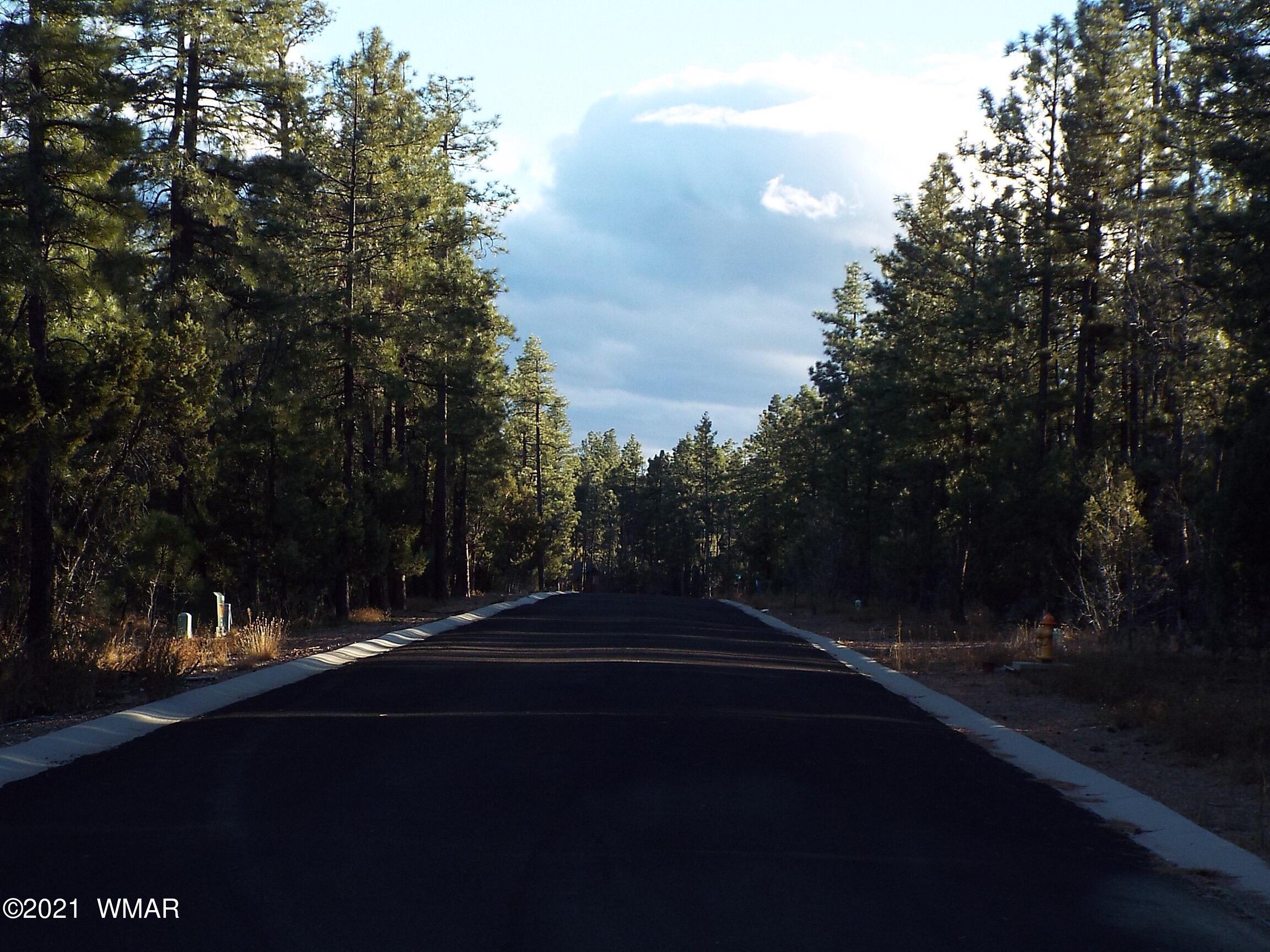 2329 Willow Way Pinetop, AZ 85935 - Photo 50 of 96
