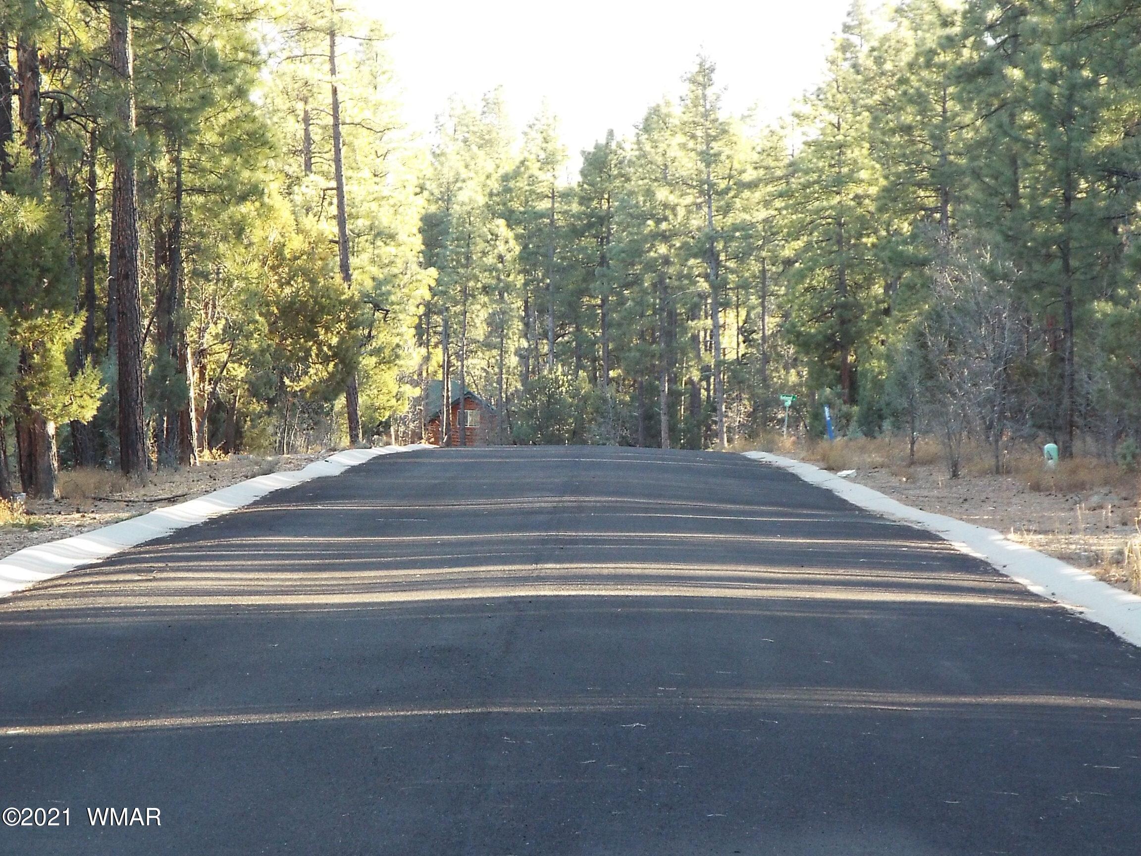 2329 Willow Way Pinetop, AZ 85935 - Photo 51 of 96