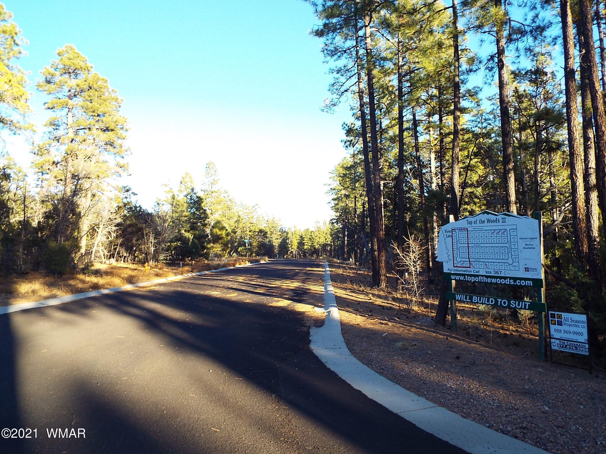 2329 Willow Way Pinetop, AZ 85935 - Photo 52 of 96