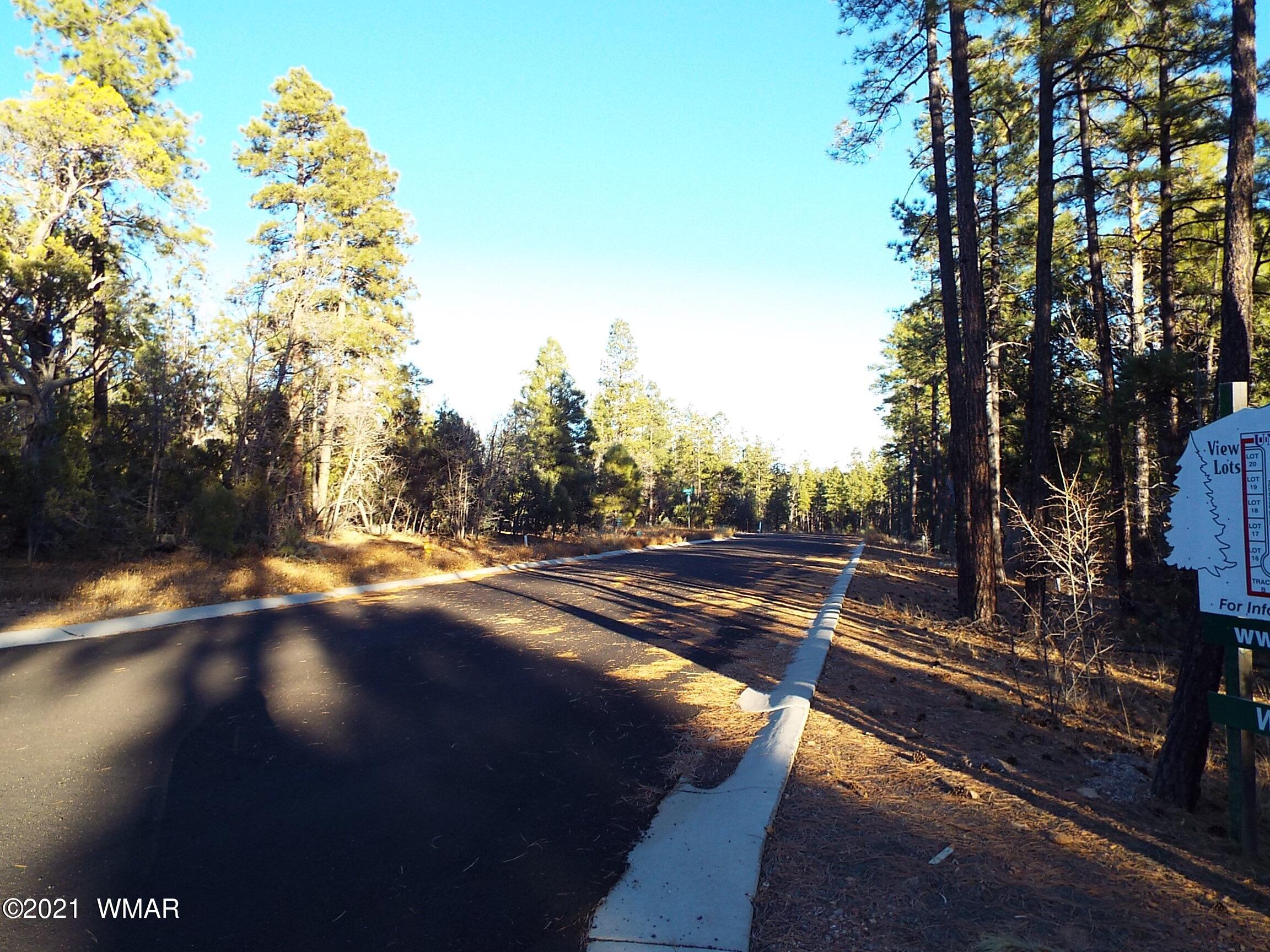 2329 Willow Way Pinetop, AZ 85935 - Photo 54 of 96