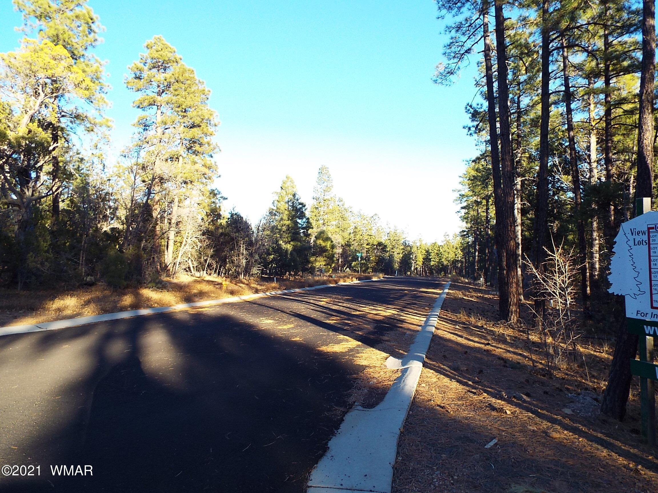2329 Willow Way Pinetop, AZ 85935 - Photo 55 of 96