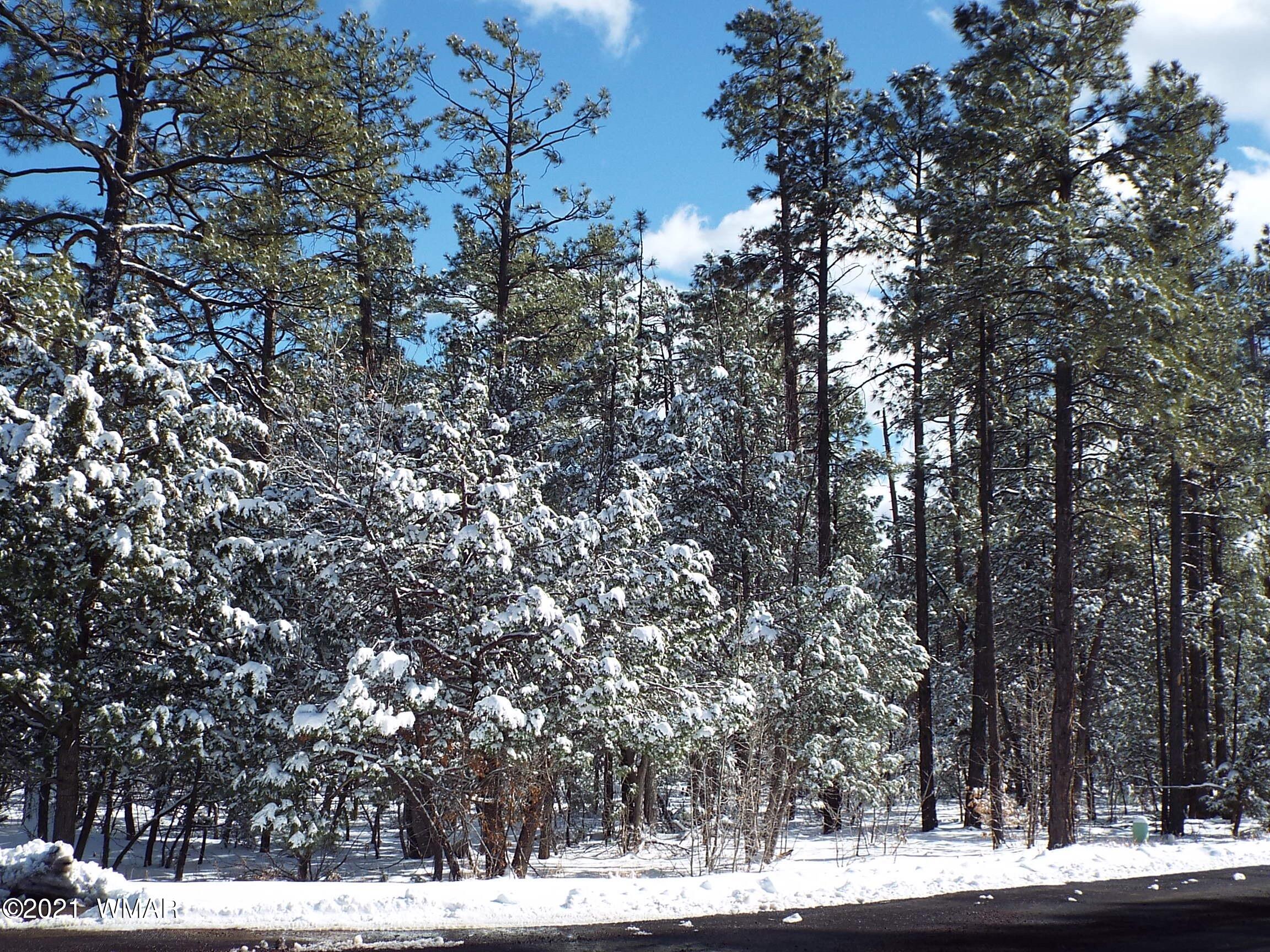 2329 Willow Way Pinetop, AZ 85935 - Photo 59 of 96