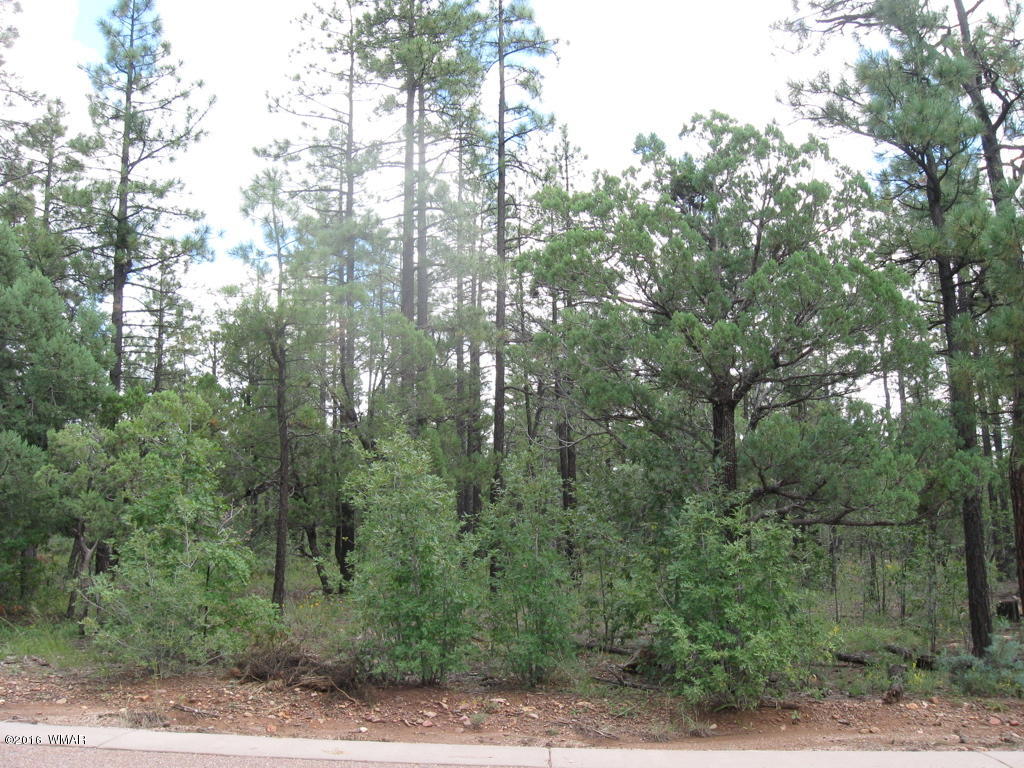 2329 Willow Way Pinetop, AZ 85935 - Photo 6 of 96