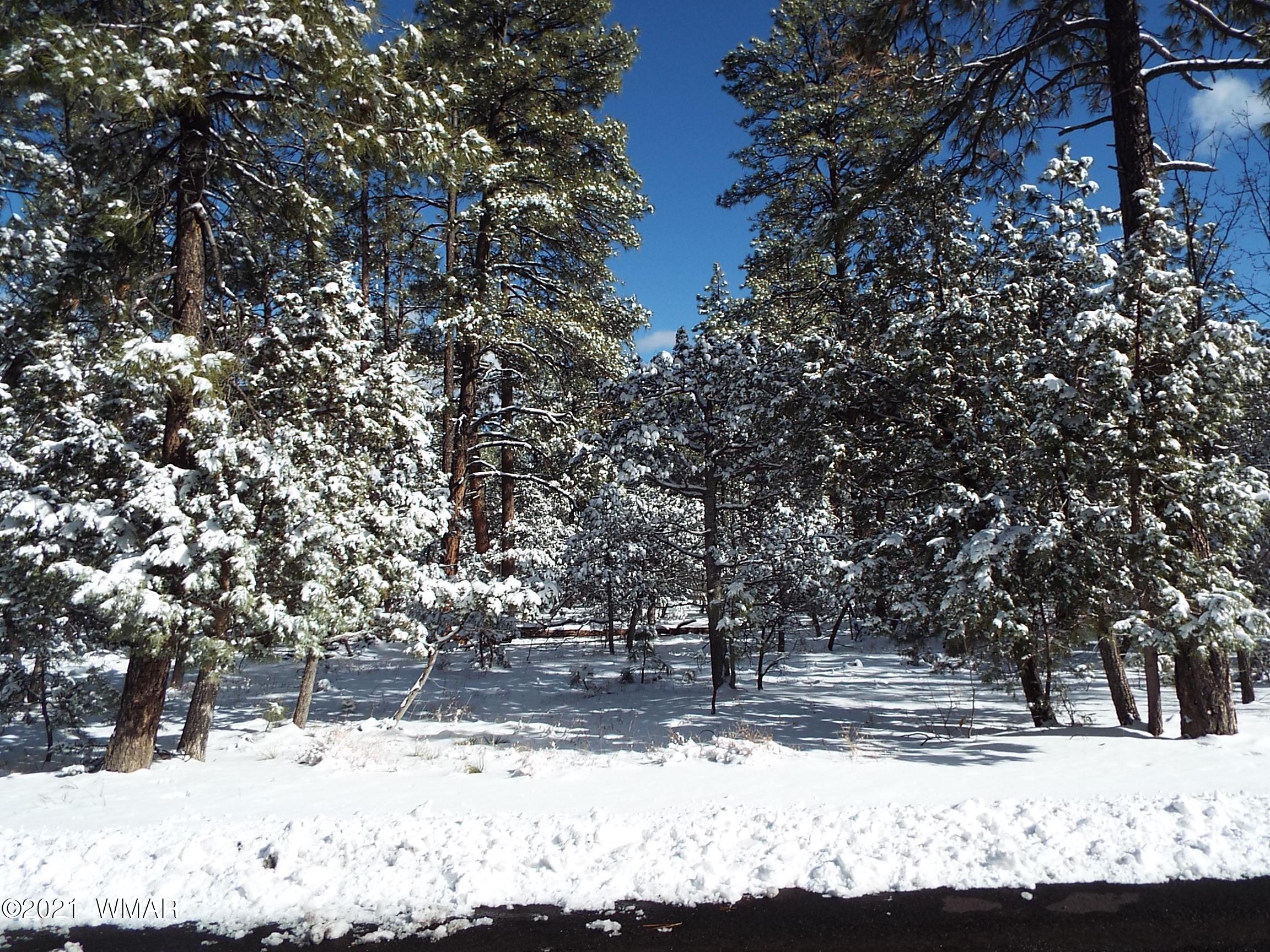 2329 Willow Way Pinetop, AZ 85935 - Photo 62 of 96