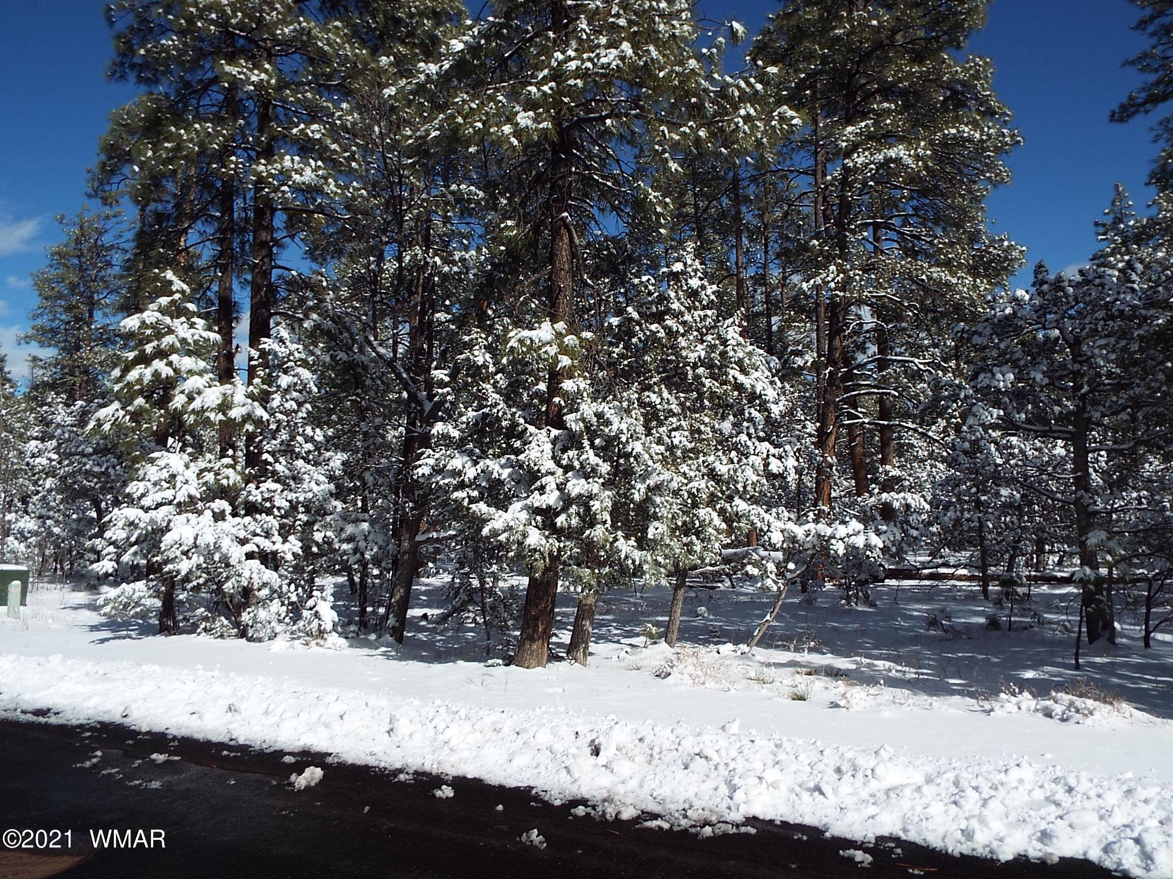 2329 Willow Way Pinetop, AZ 85935 - Photo 63 of 96