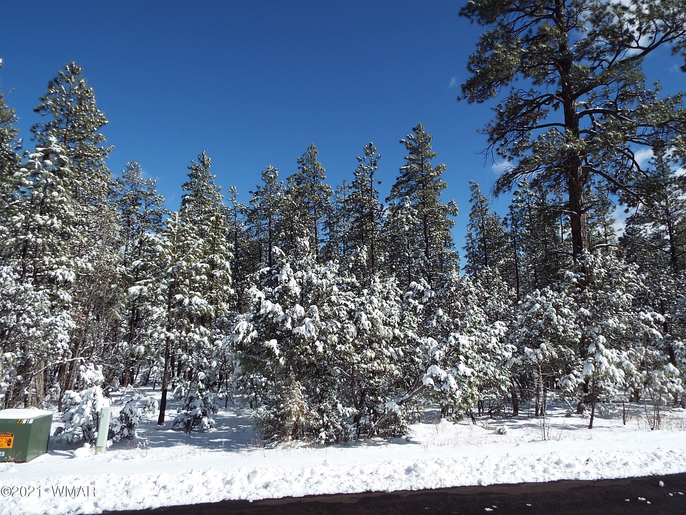 2329 Willow Way Pinetop, AZ 85935 - Photo 64 of 96
