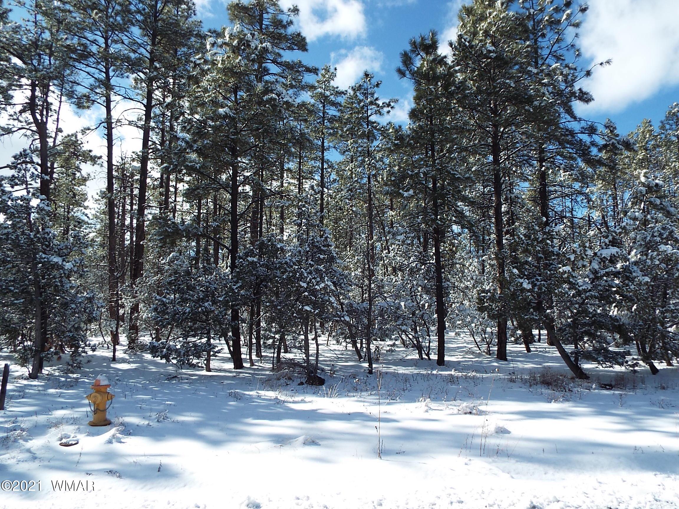 2329 Willow Way Pinetop, AZ 85935 - Photo 67 of 96