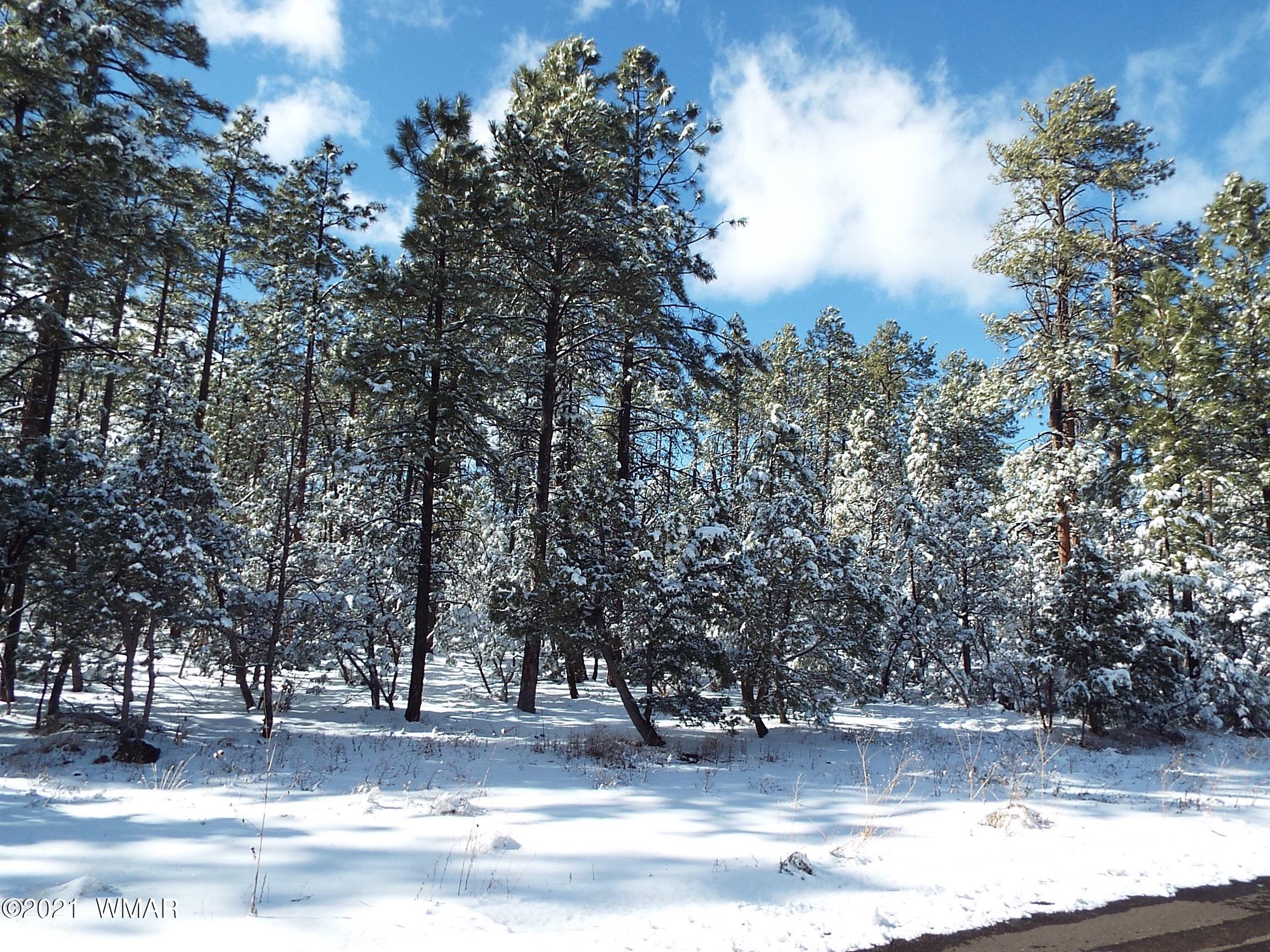 2329 Willow Way Pinetop, AZ 85935 - Photo 68 of 96