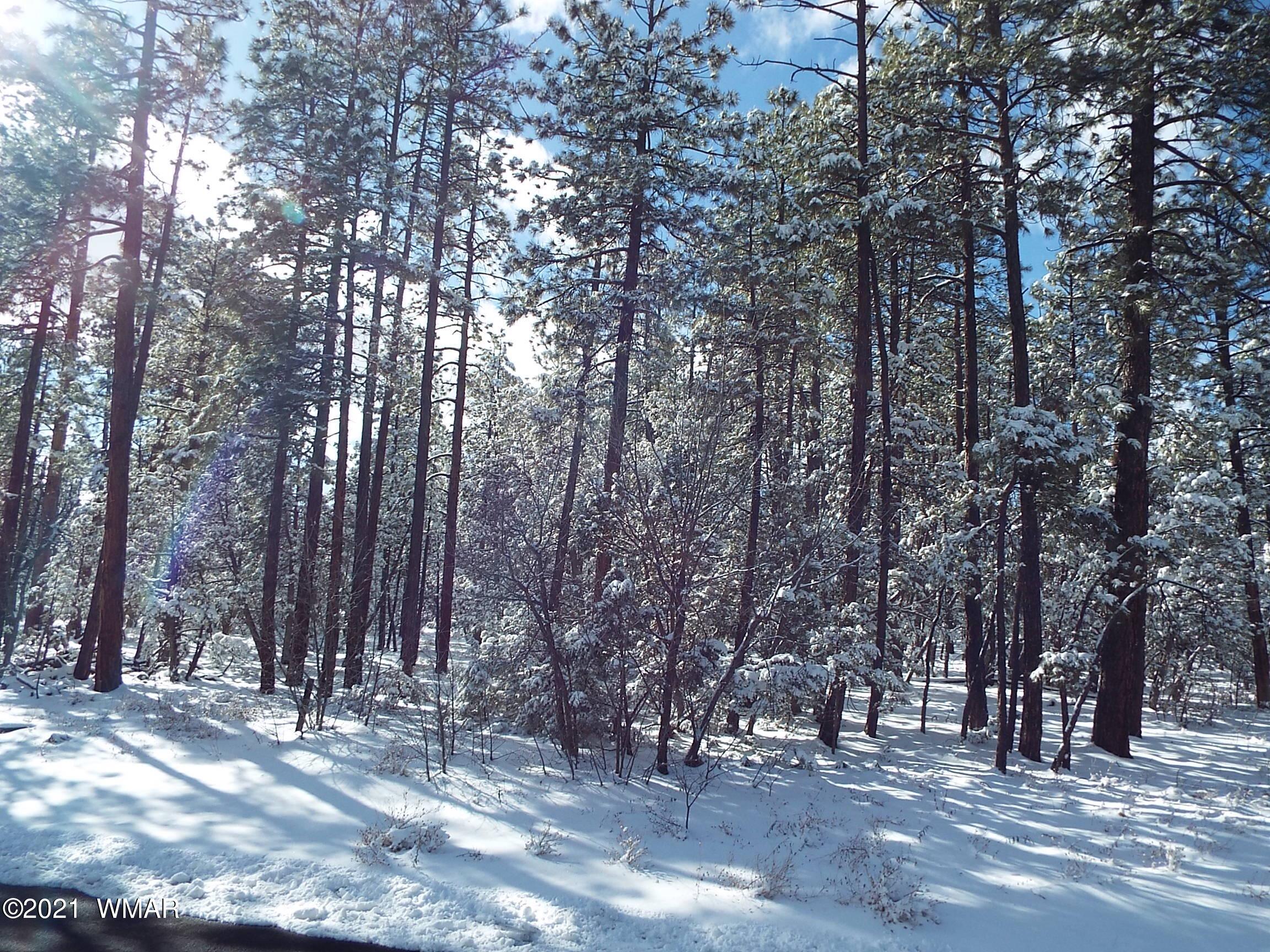 2329 Willow Way Pinetop, AZ 85935 - Photo 70 of 96