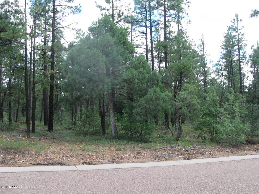 2329 Willow Way Pinetop, AZ 85935 - Photo 7 of 96