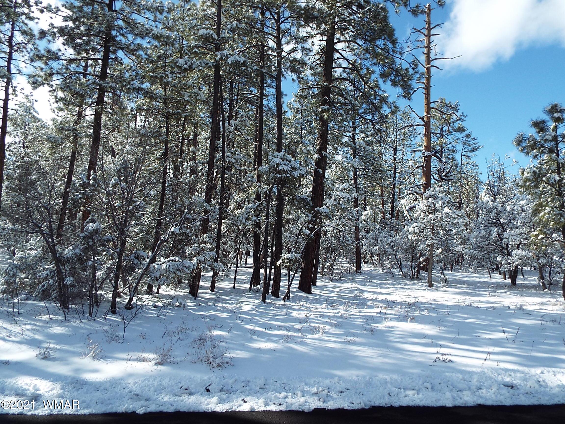 2329 Willow Way Pinetop, AZ 85935 - Photo 71 of 96