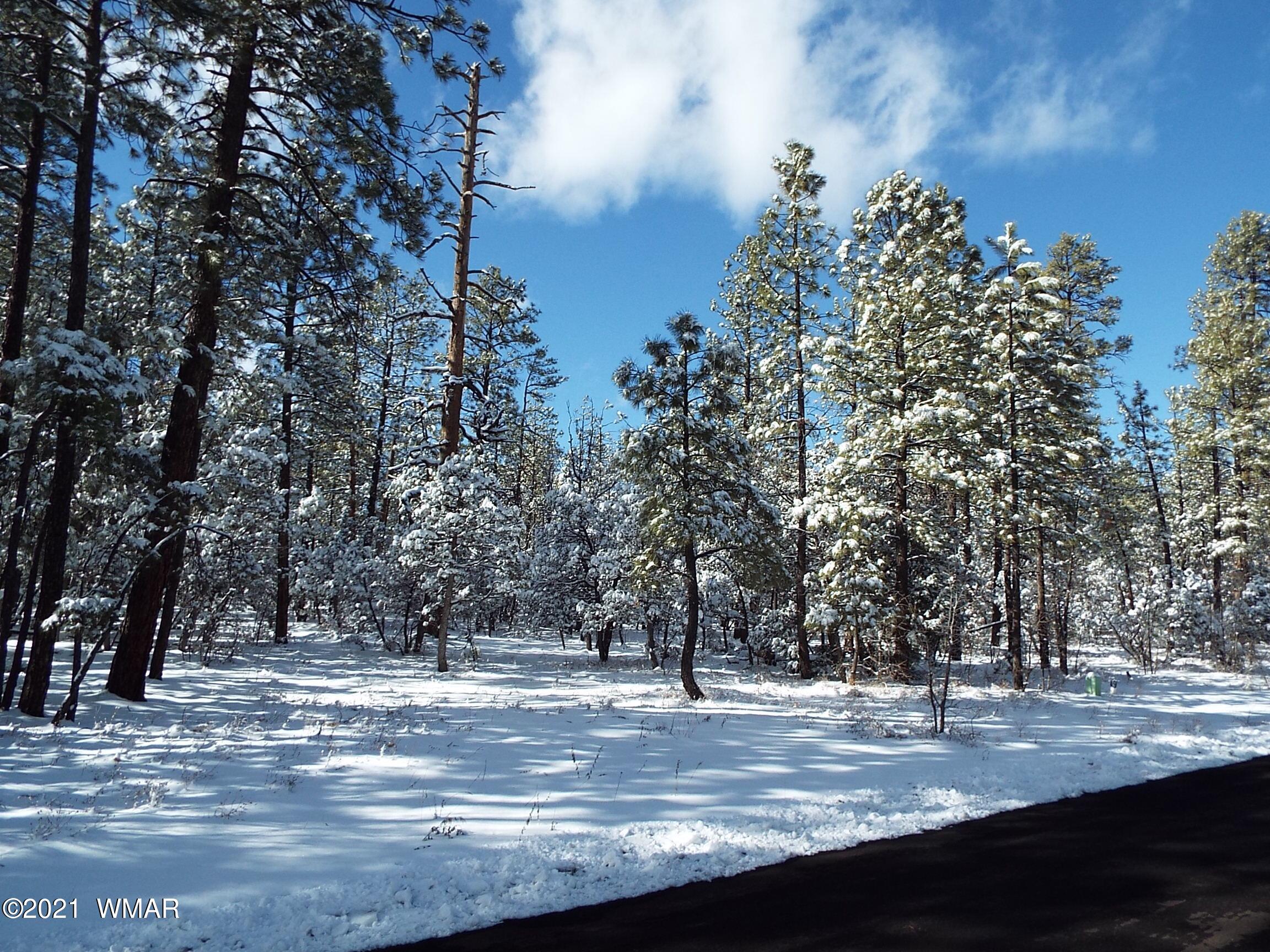 2329 Willow Way Pinetop, AZ 85935 - Photo 72 of 96