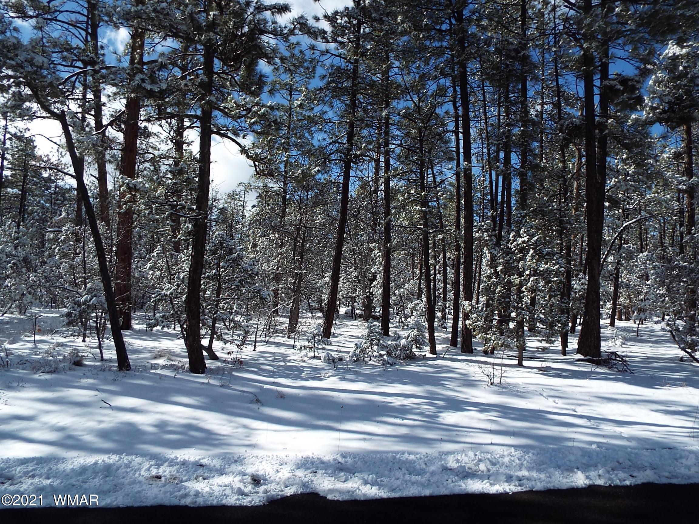 2329 Willow Way Pinetop, AZ 85935 - Photo 73 of 96