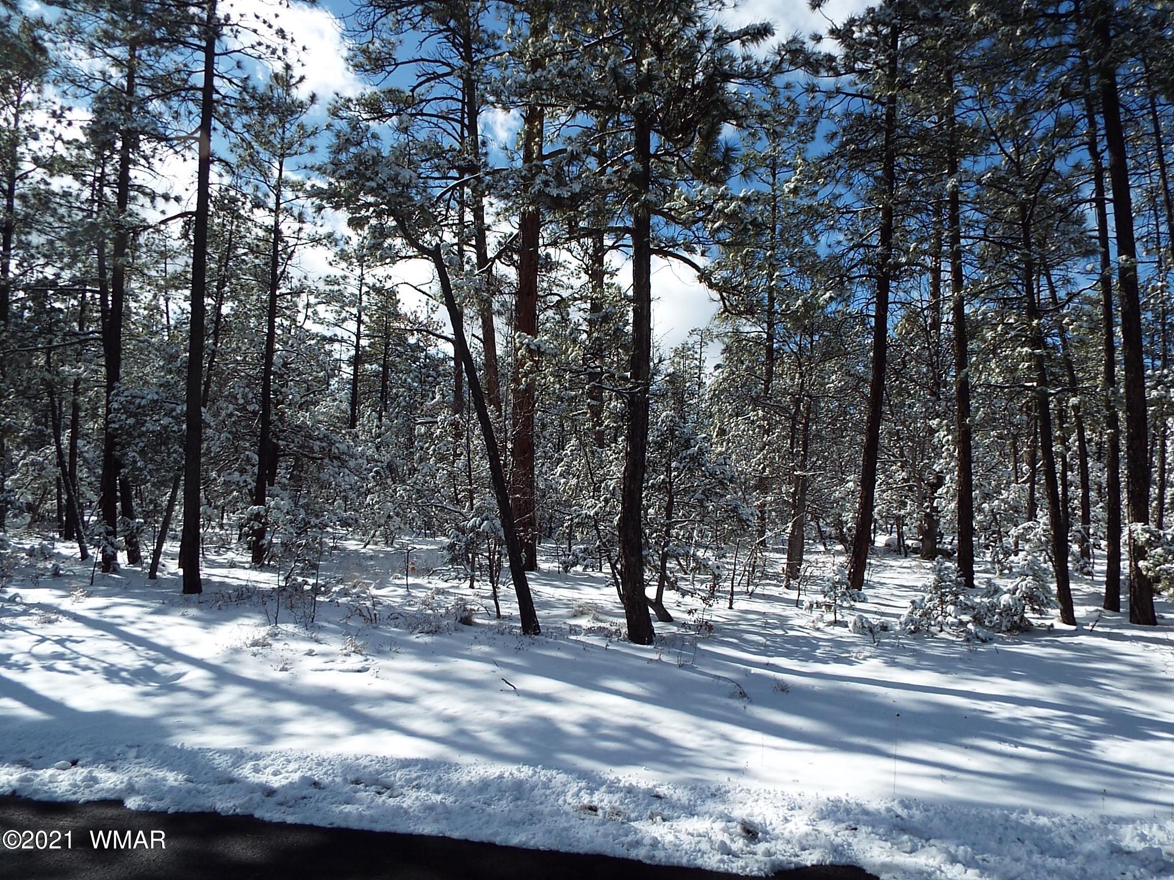 2329 Willow Way Pinetop, AZ 85935 - Photo 74 of 96