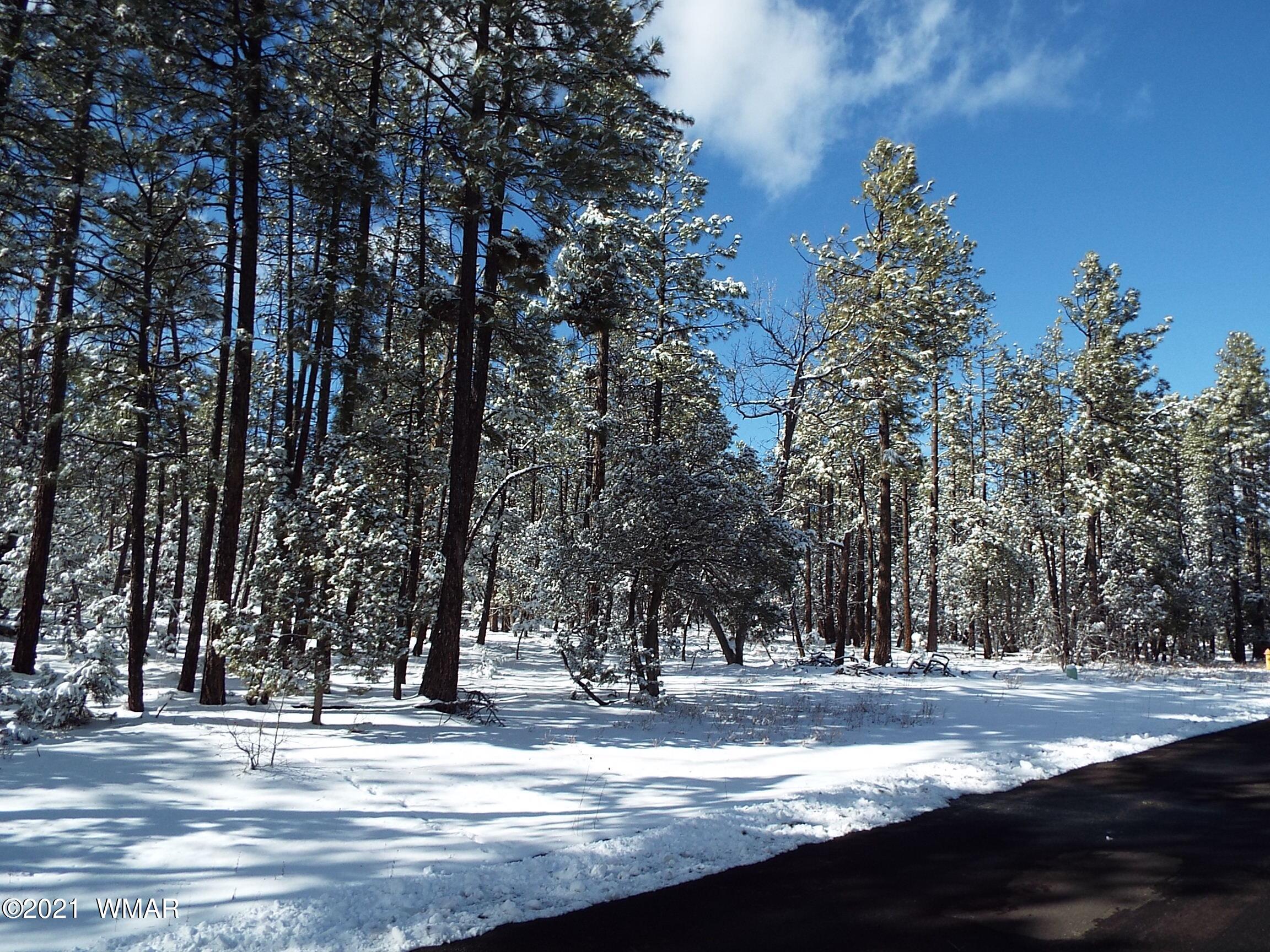 2329 Willow Way Pinetop, AZ 85935 - Photo 75 of 96