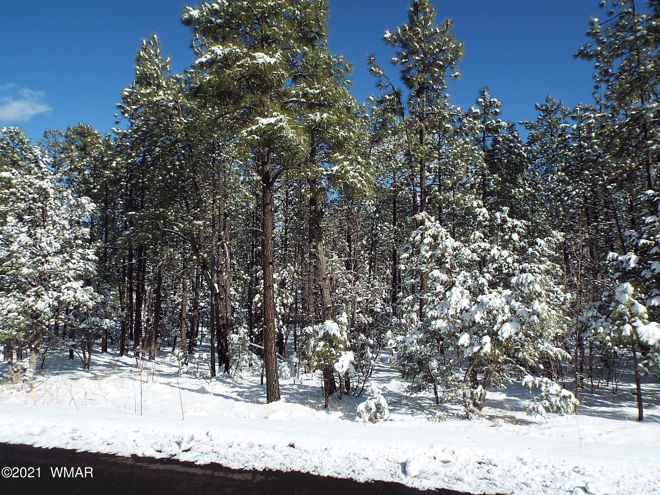 2329 Willow Way Pinetop, AZ 85935 - Photo 76 of 96