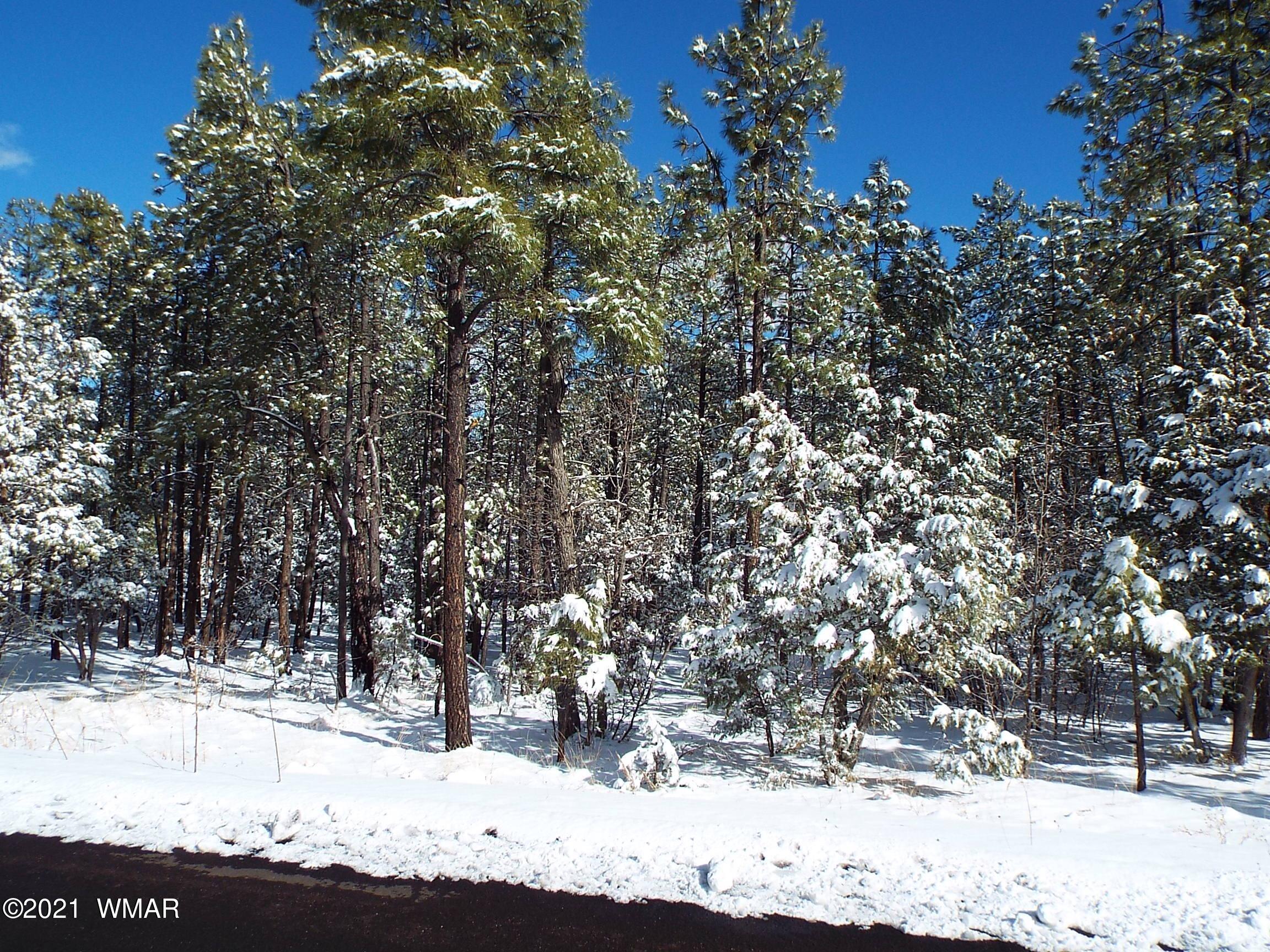 2329 Willow Way Pinetop, AZ 85935 - Photo 77 of 96