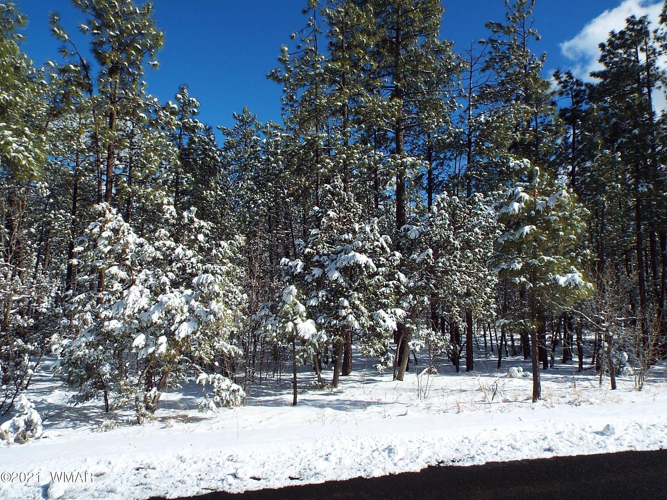 2329 Willow Way Pinetop, AZ 85935 - Photo 78 of 96