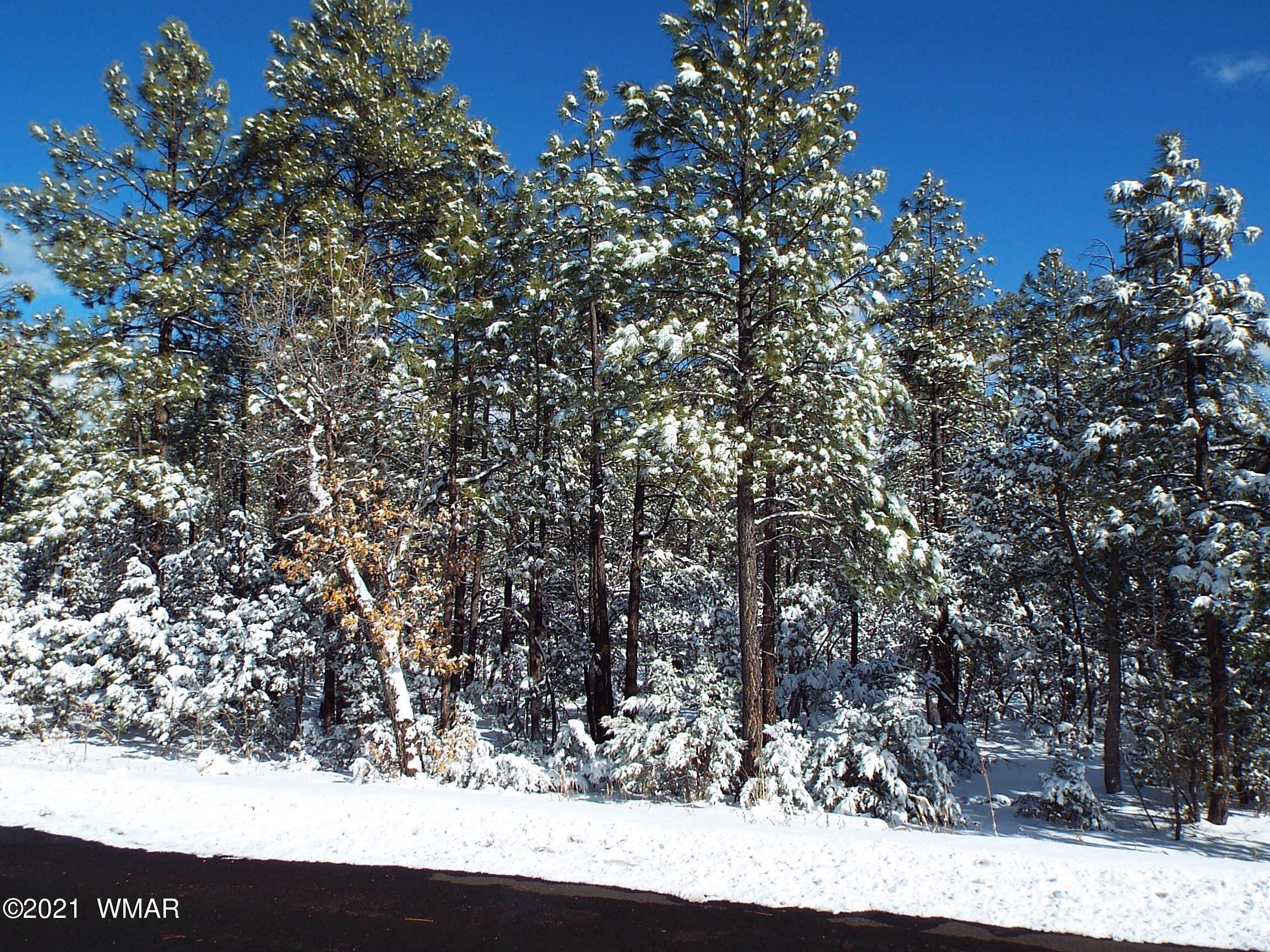 2329 Willow Way Pinetop, AZ 85935 - Photo 79 of 96