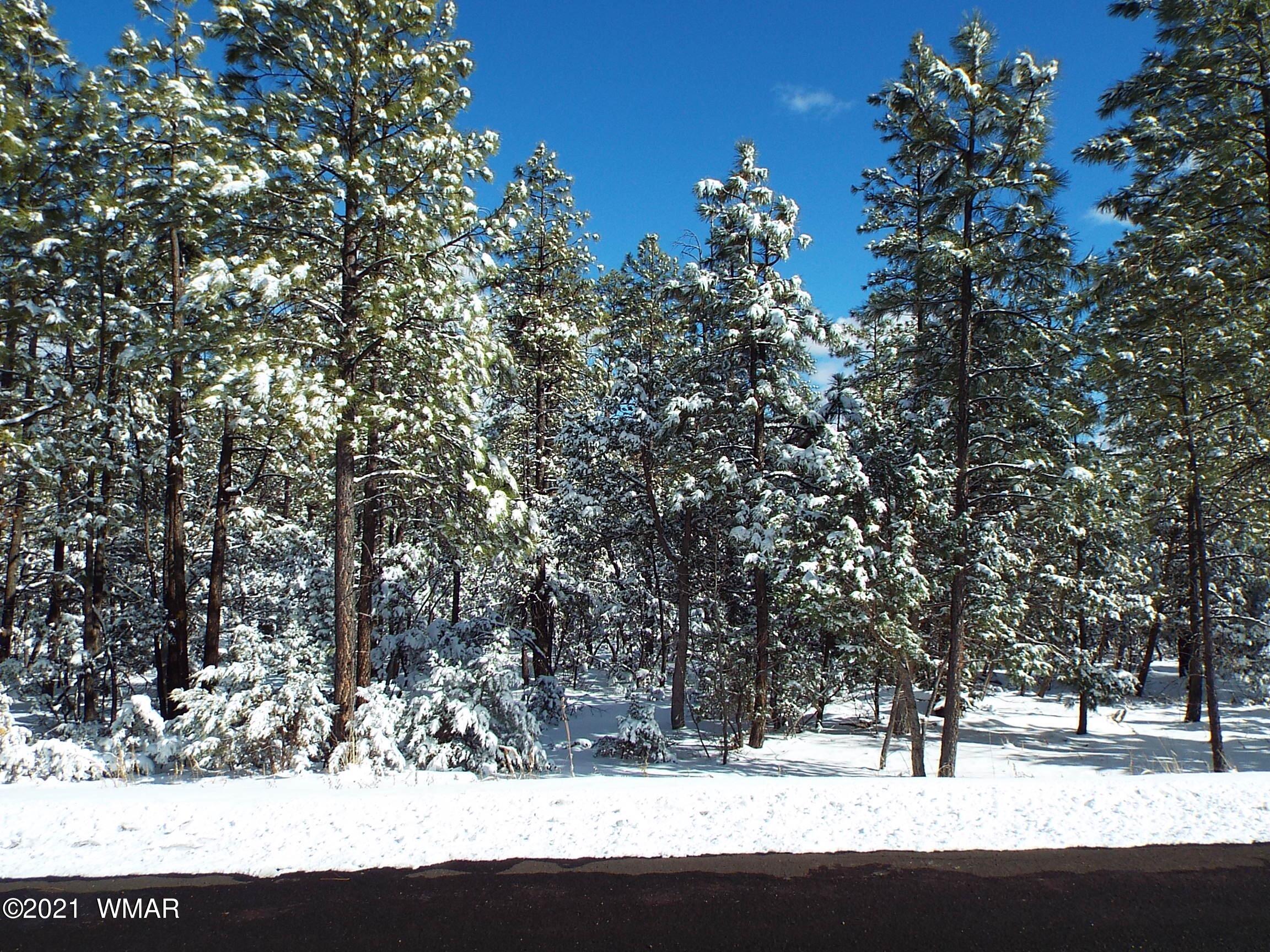 2329 Willow Way Pinetop, AZ 85935 - Photo 80 of 96