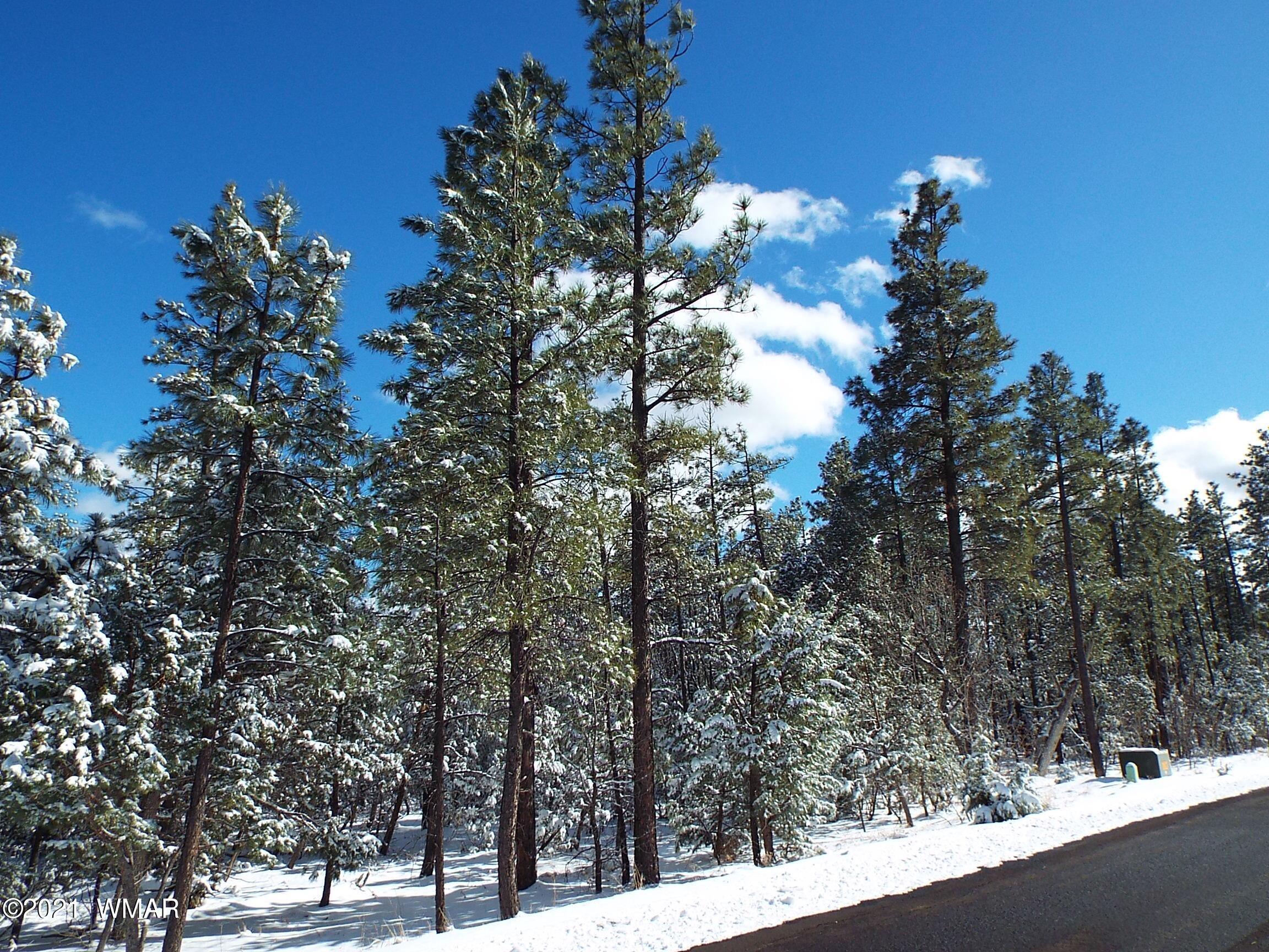 2329 Willow Way Pinetop, AZ 85935 - Photo 81 of 96
