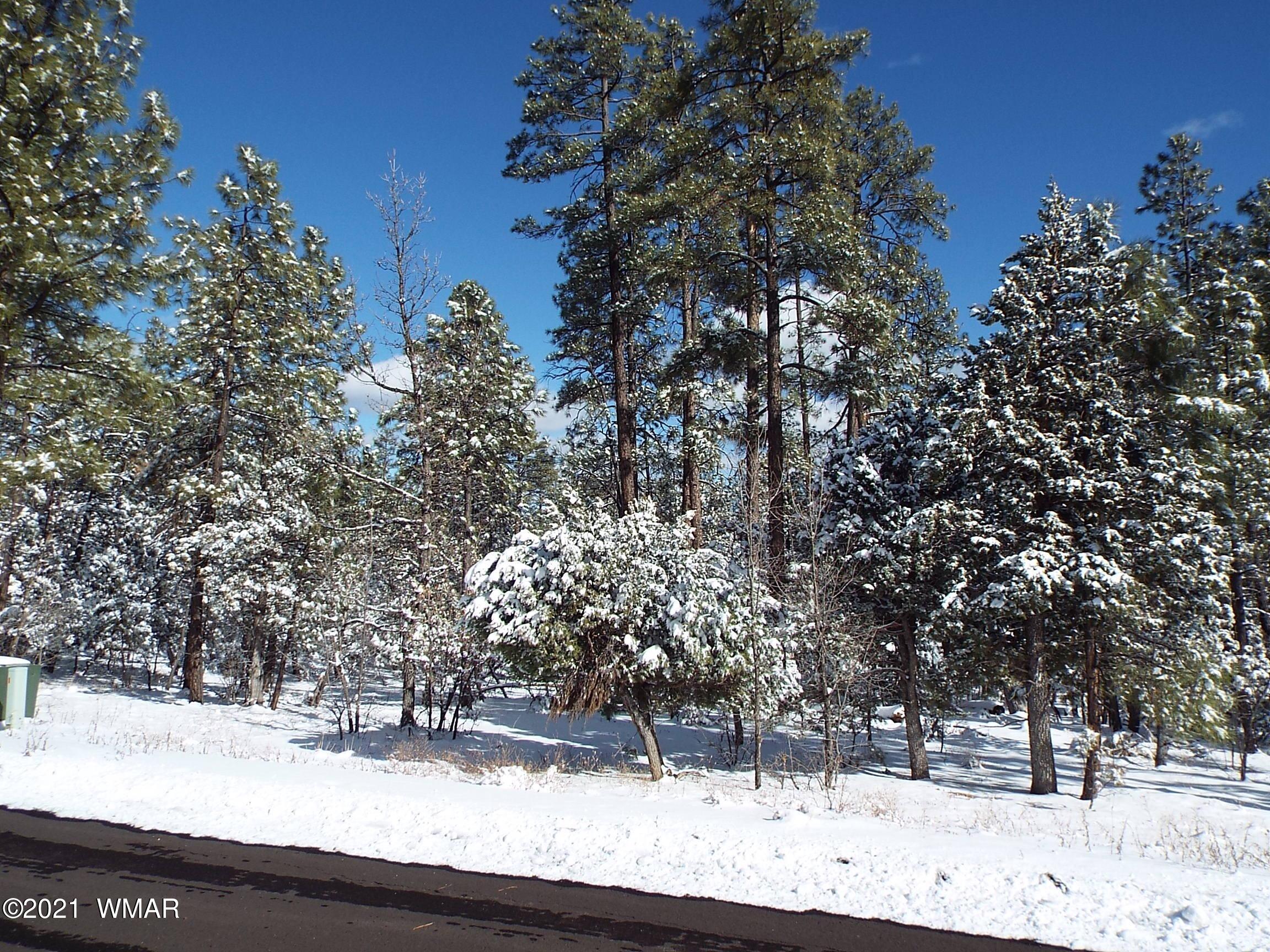 2329 Willow Way Pinetop, AZ 85935 - Photo 82 of 96