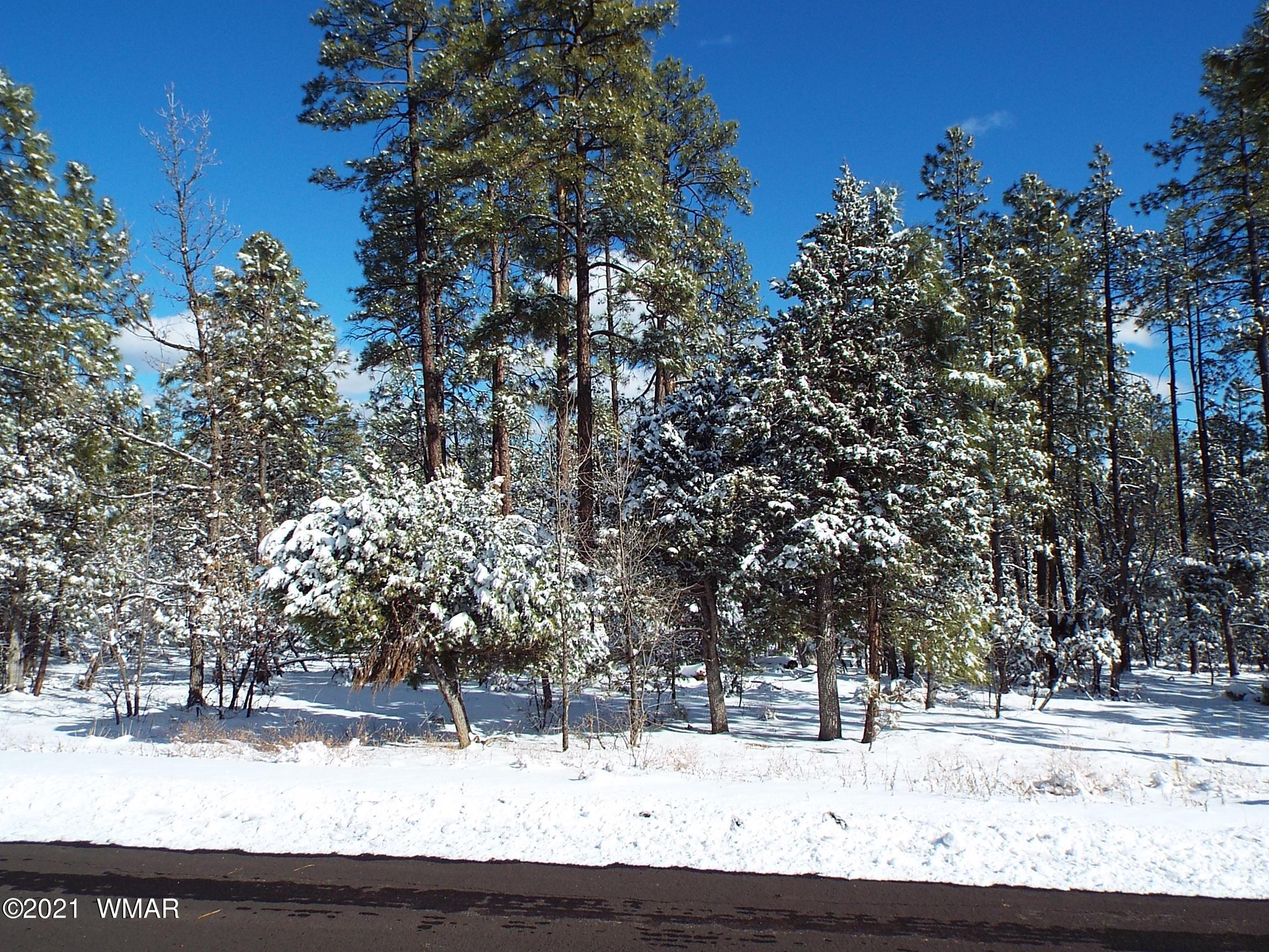 2329 Willow Way Pinetop, AZ 85935 - Photo 83 of 96