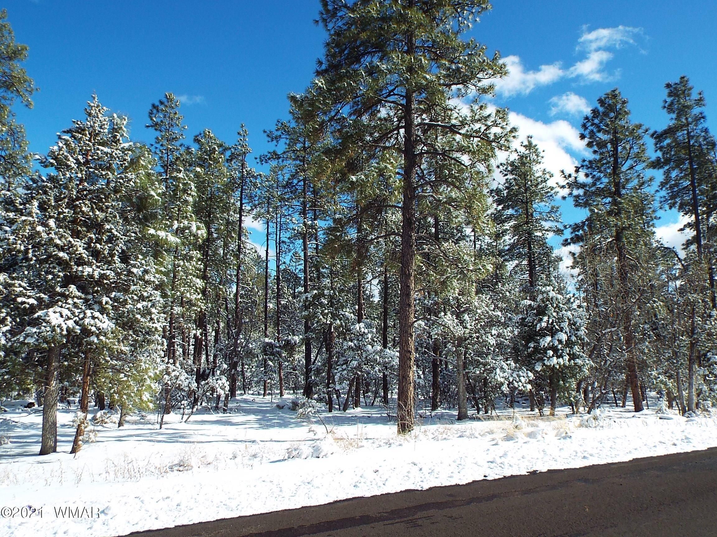 2329 Willow Way Pinetop, AZ 85935 - Photo 84 of 96