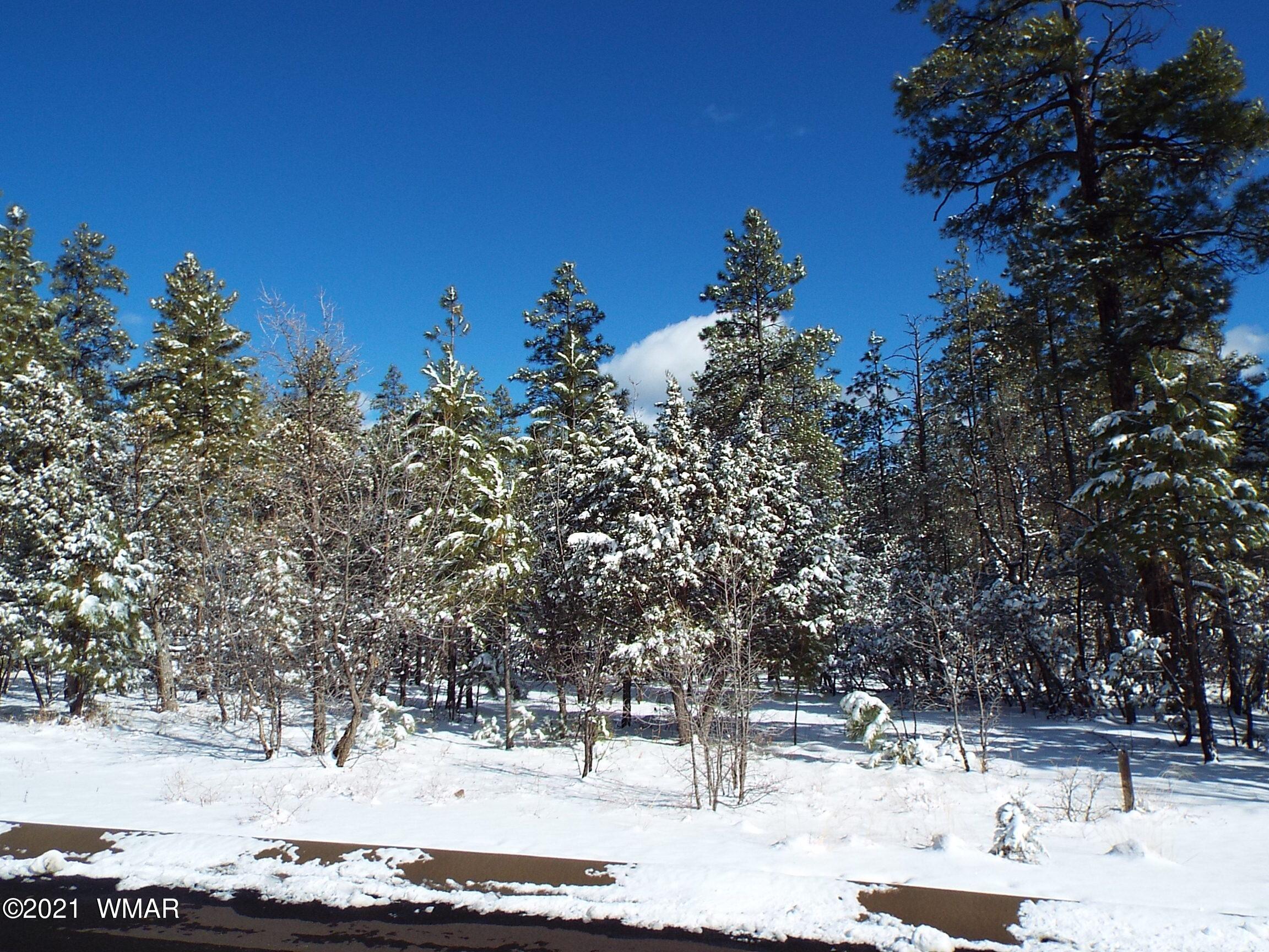 2329 Willow Way Pinetop, AZ 85935 - Photo 85 of 96