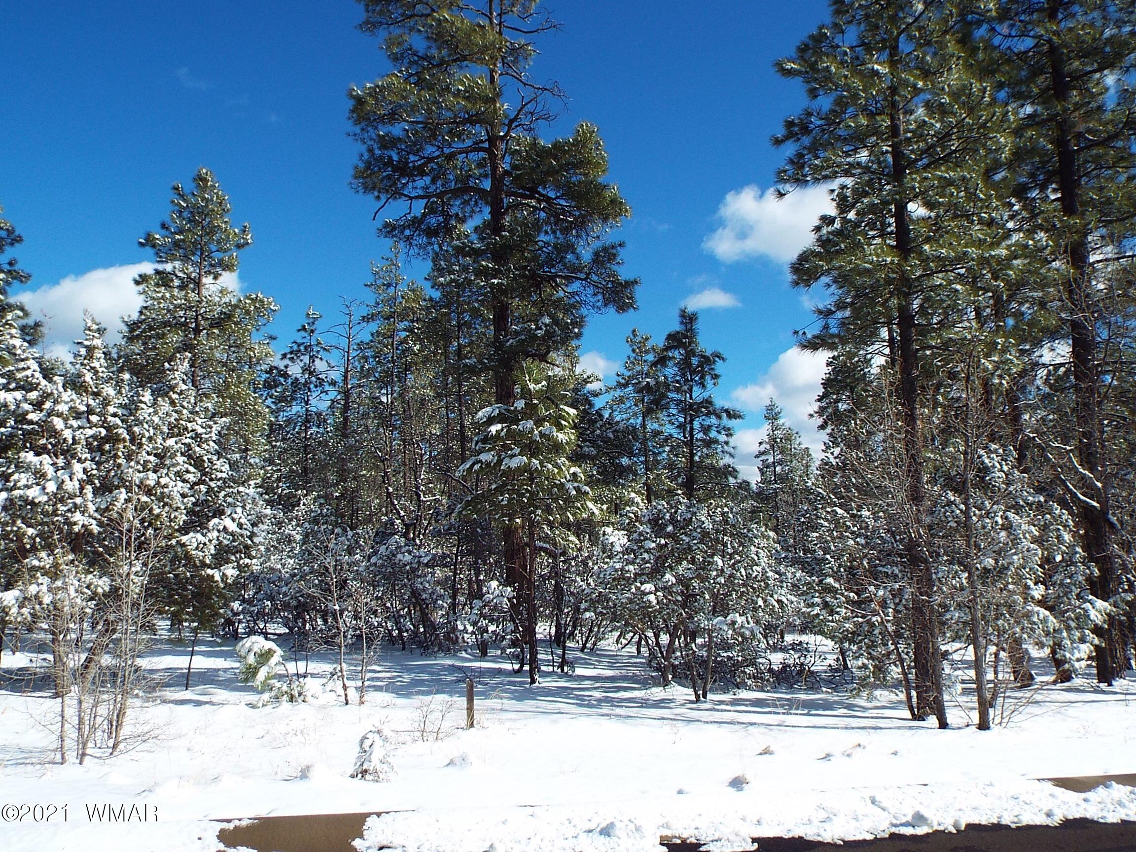 2329 Willow Way Pinetop, AZ 85935 - Photo 86 of 96