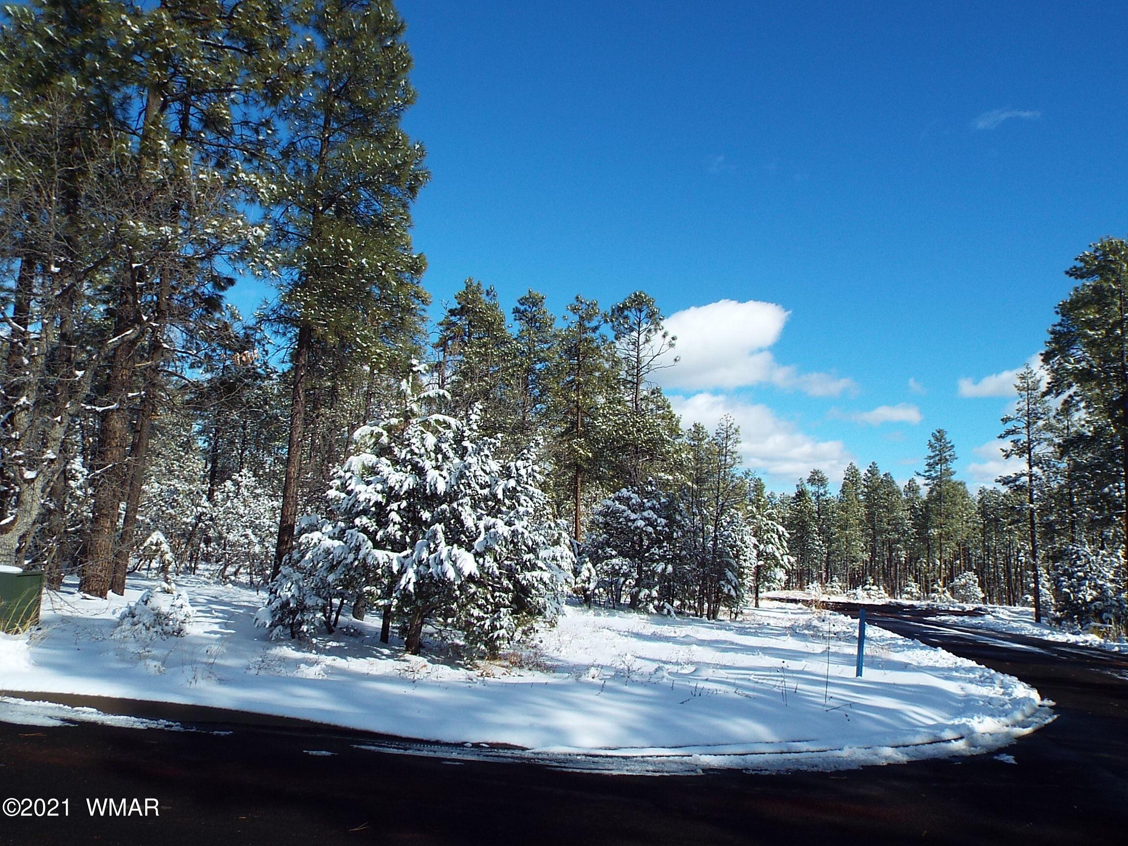 2329 Willow Way Pinetop, AZ 85935 - Photo 87 of 96