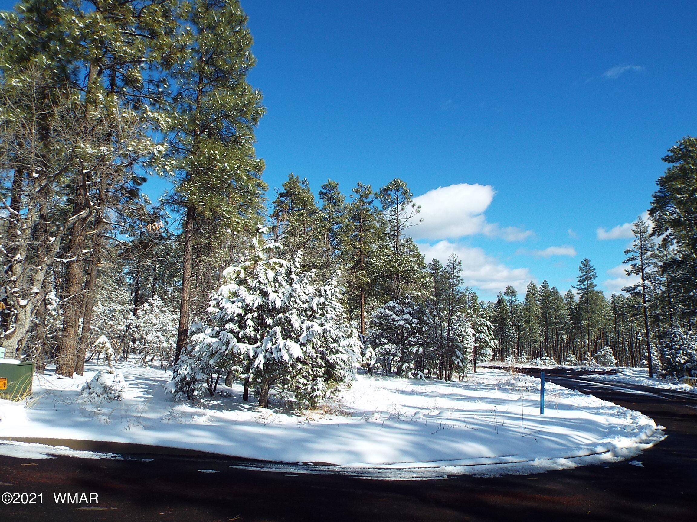 2329 Willow Way Pinetop, AZ 85935 - Photo 88 of 96