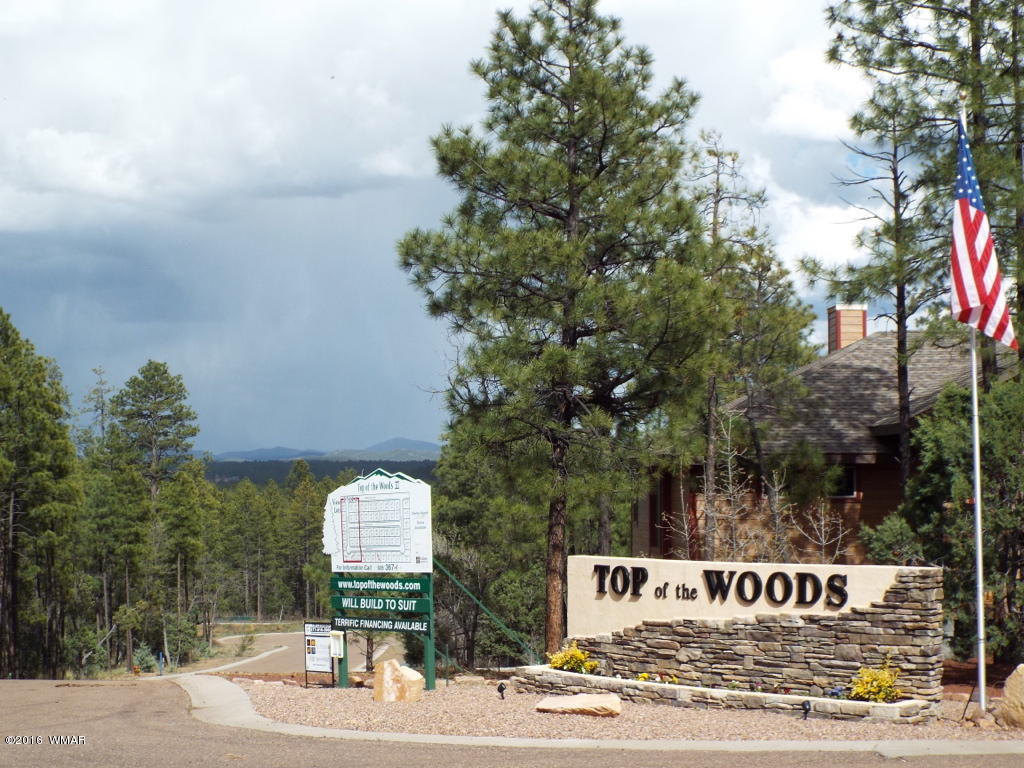 2329 Willow Way Pinetop, AZ 85935 - Photo 9 of 96