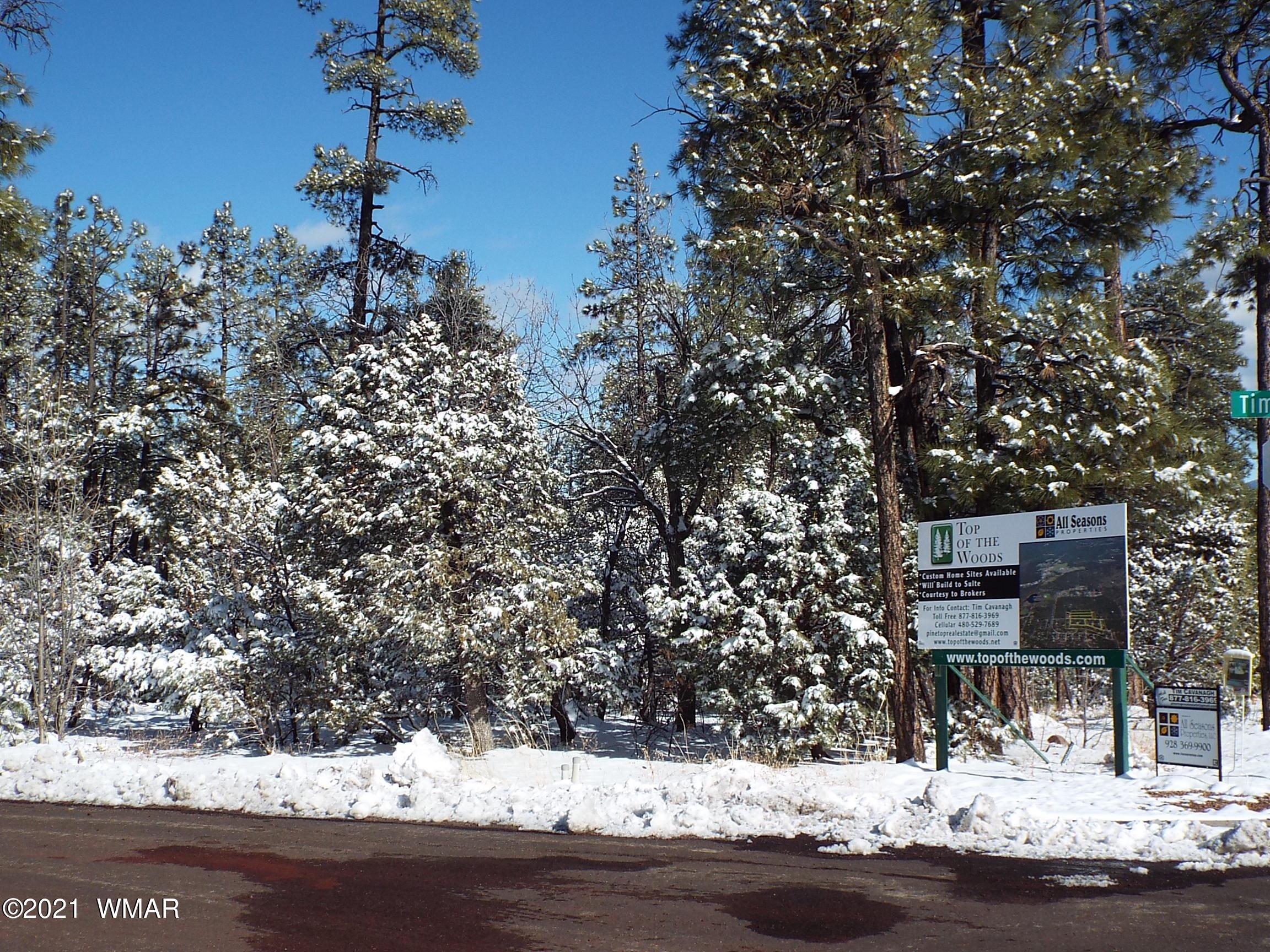 2329 Willow Way Pinetop, AZ 85935 - Photo 92 of 96