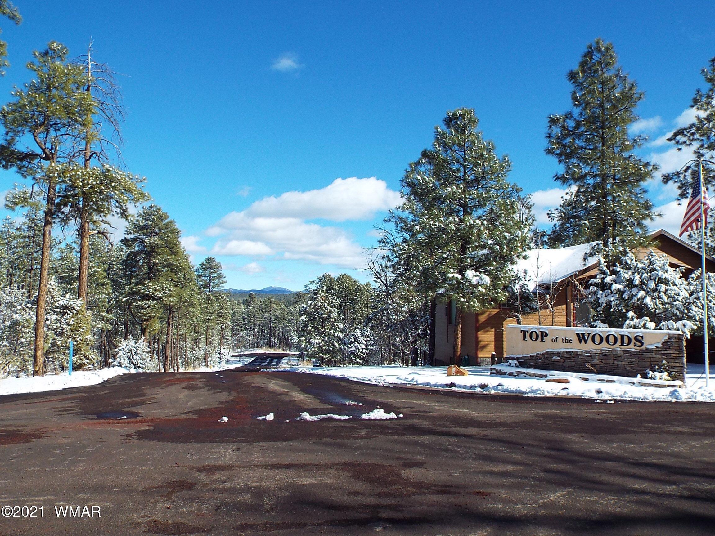 2329 Willow Way Pinetop, AZ 85935 - Photo 93 of 96