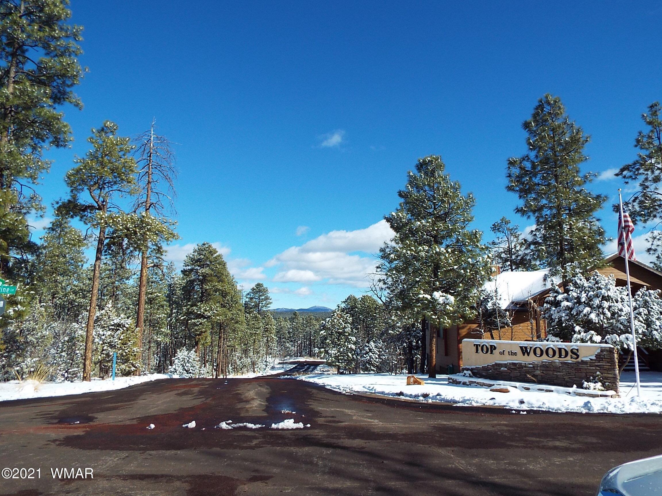 2329 Willow Way Pinetop, AZ 85935 - Photo 94 of 96