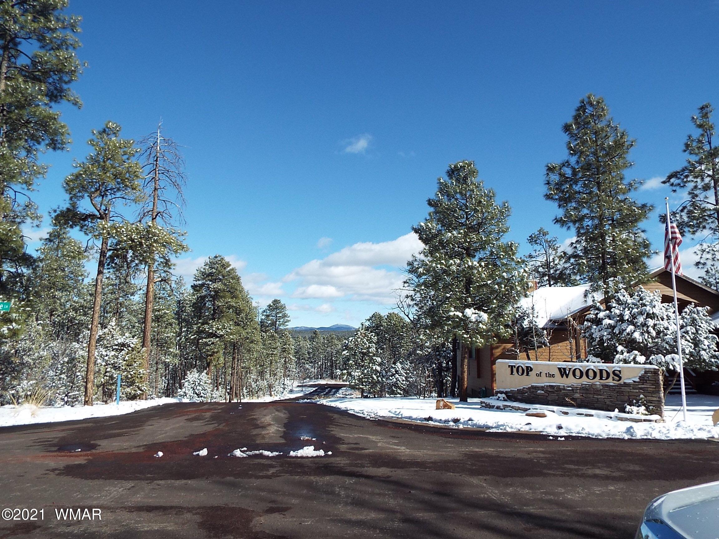 2329 Willow Way Pinetop, AZ 85935 - Photo 95 of 96