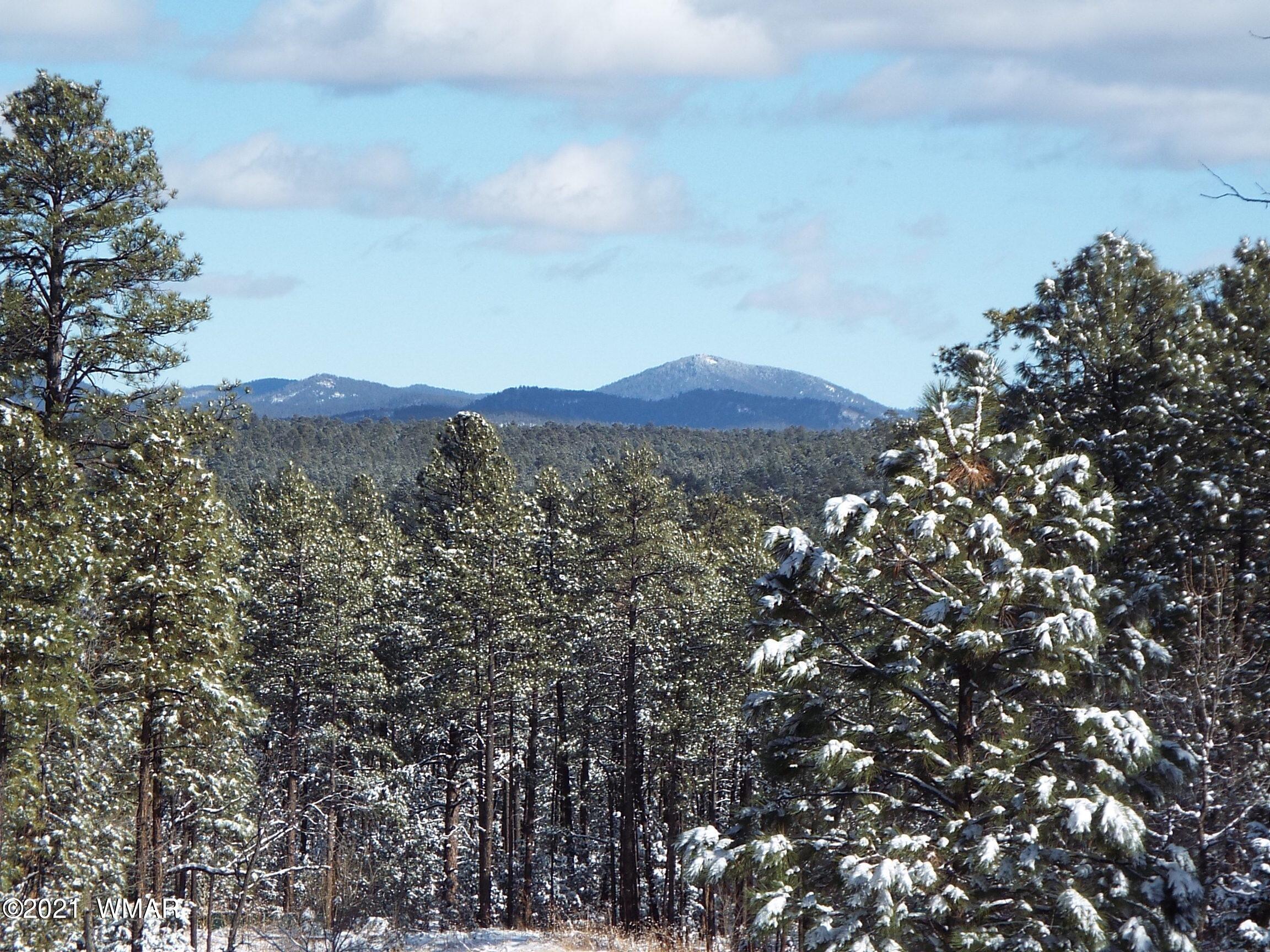 2329 Willow Way Pinetop, AZ 85935 - Photo 96 of 96