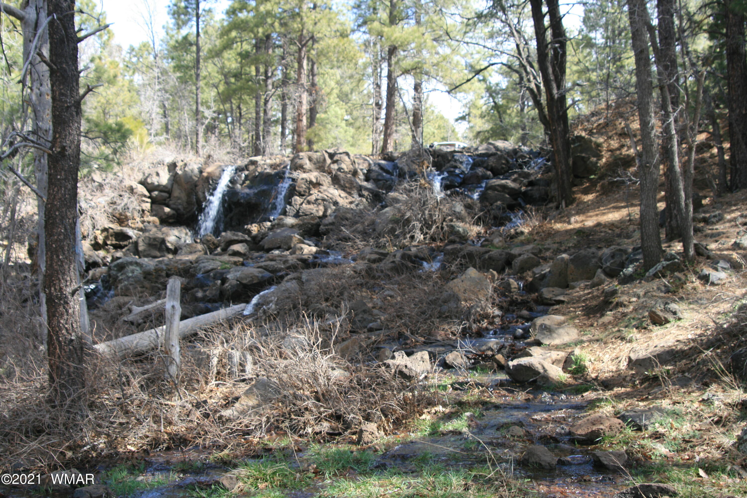 2329 Willow Way Pinetop, AZ 85935 - Photo 10 of 96
