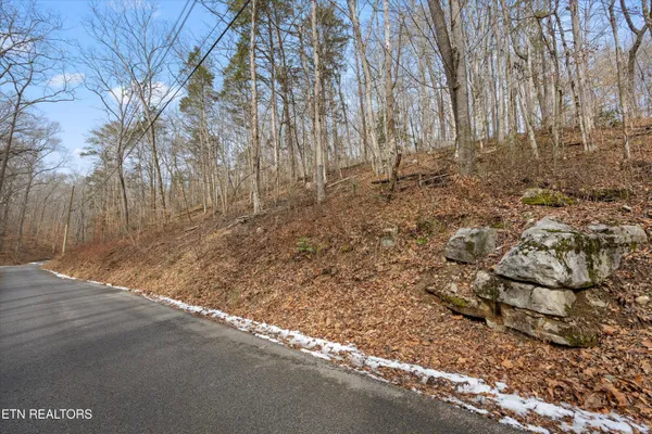 $44,900 | Fox Hollow Lane, Andersonville, TN 37705