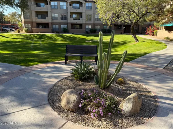 a view of a yard with a palm tree