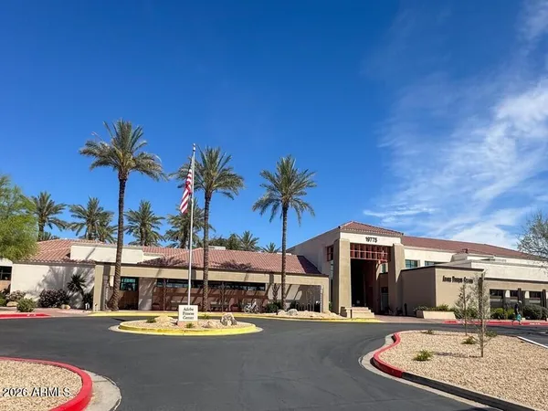 a view of a palm tree next to a building