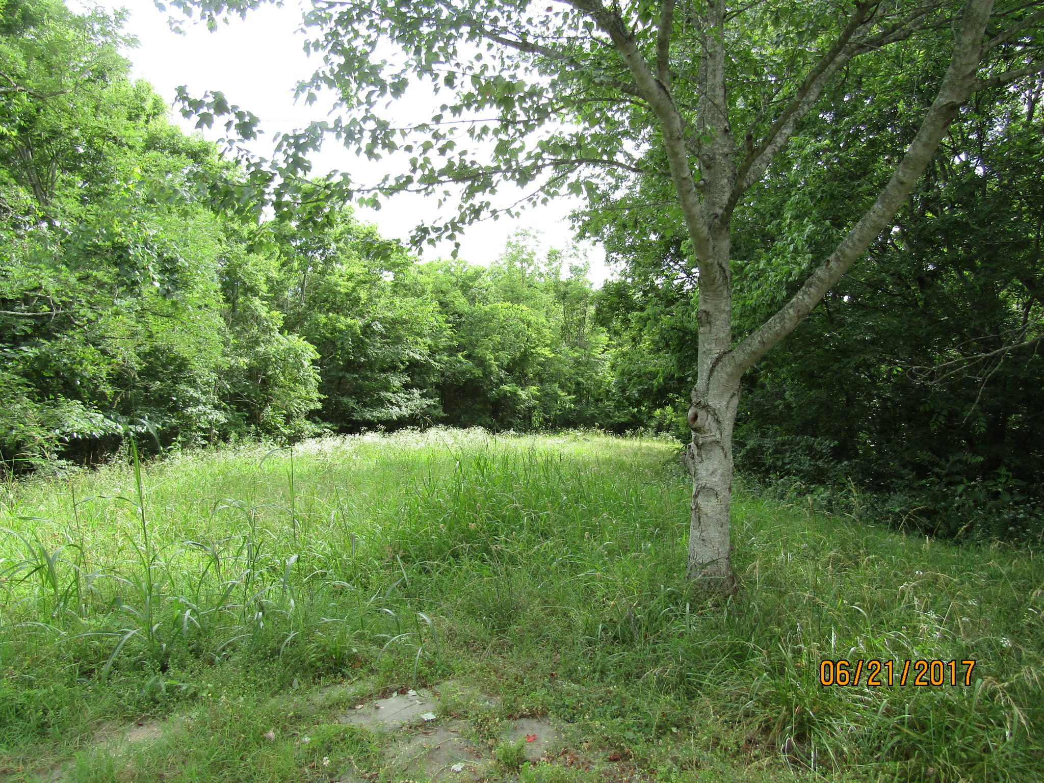 1694 Munsey Hatcher Road Seymour, TN 37865 - Photo 31 of 31 022